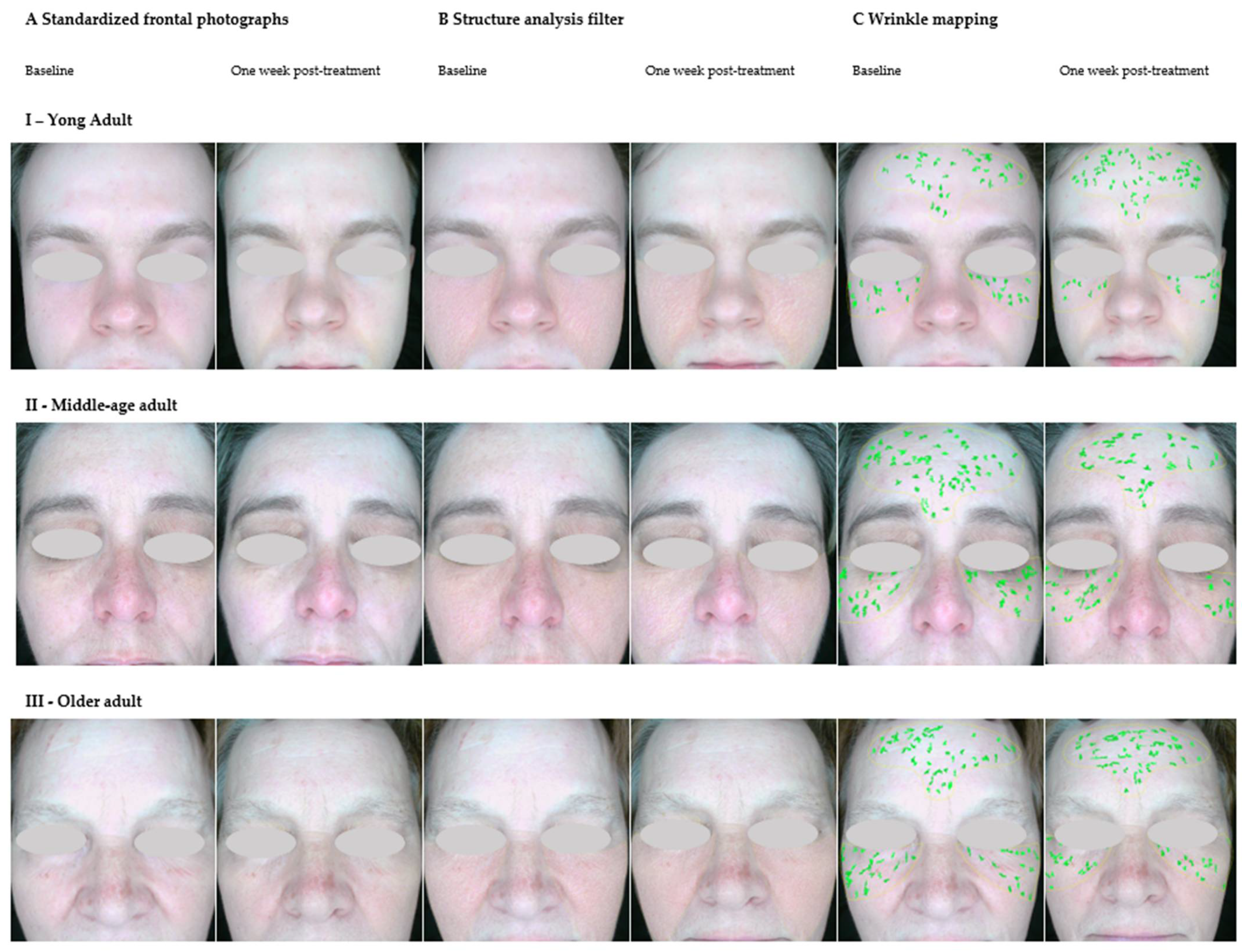 Antioxidants 14 00729 g008