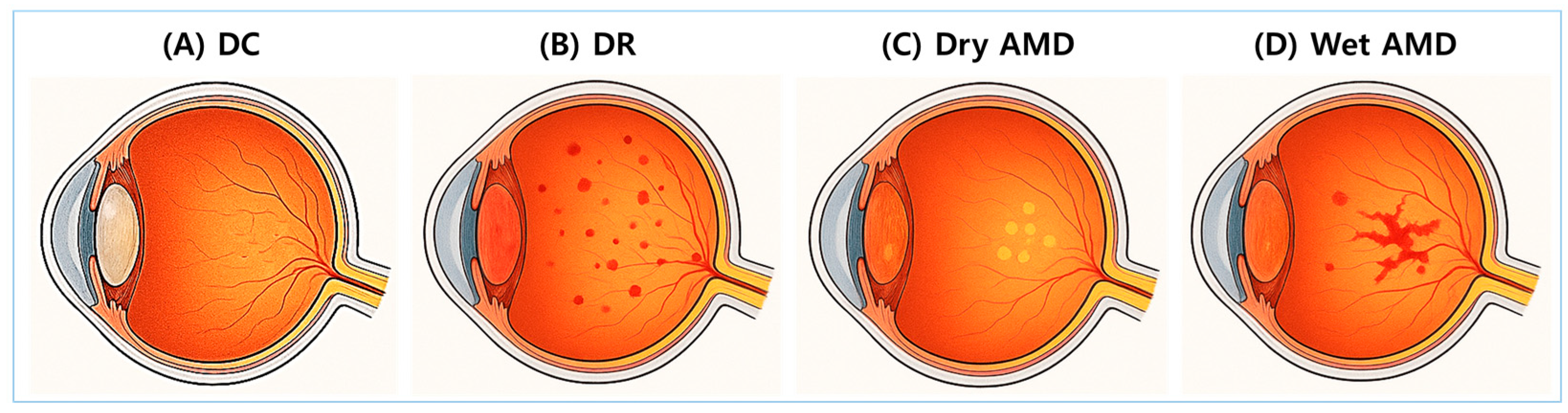 Antioxidants 14 00731 g002