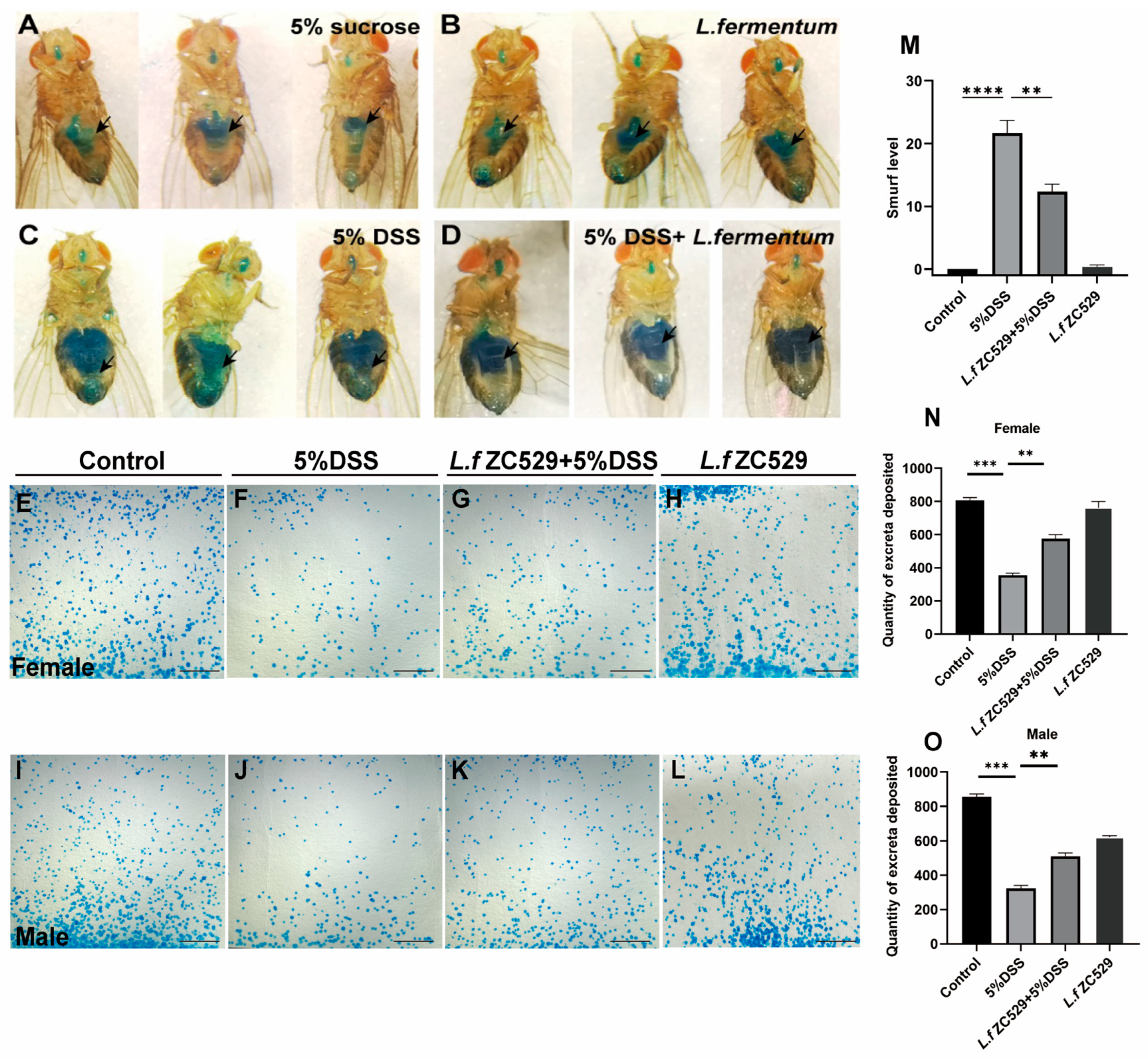 Antioxidants 14 00732 g003
