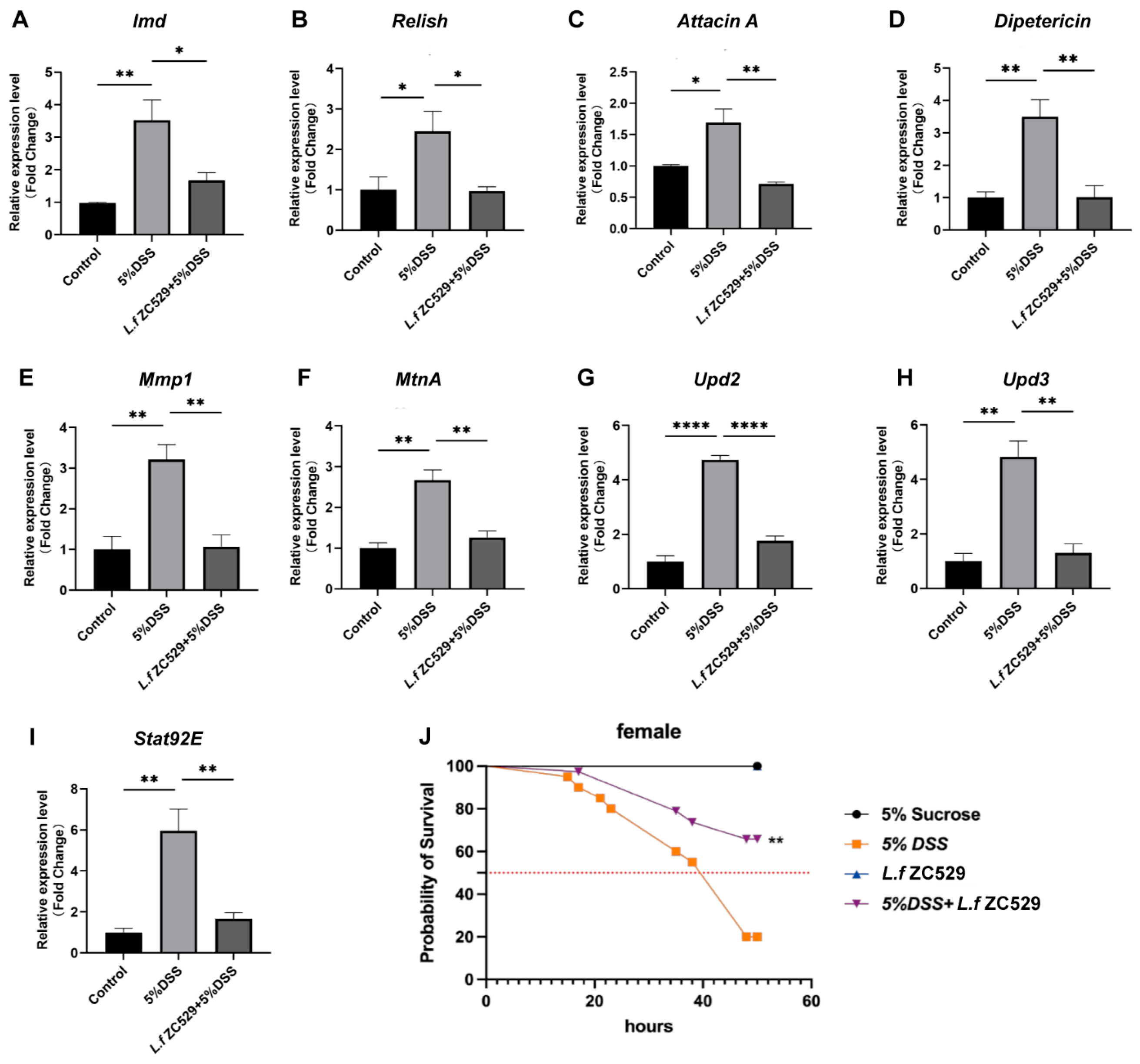 Antioxidants 14 00732 g004