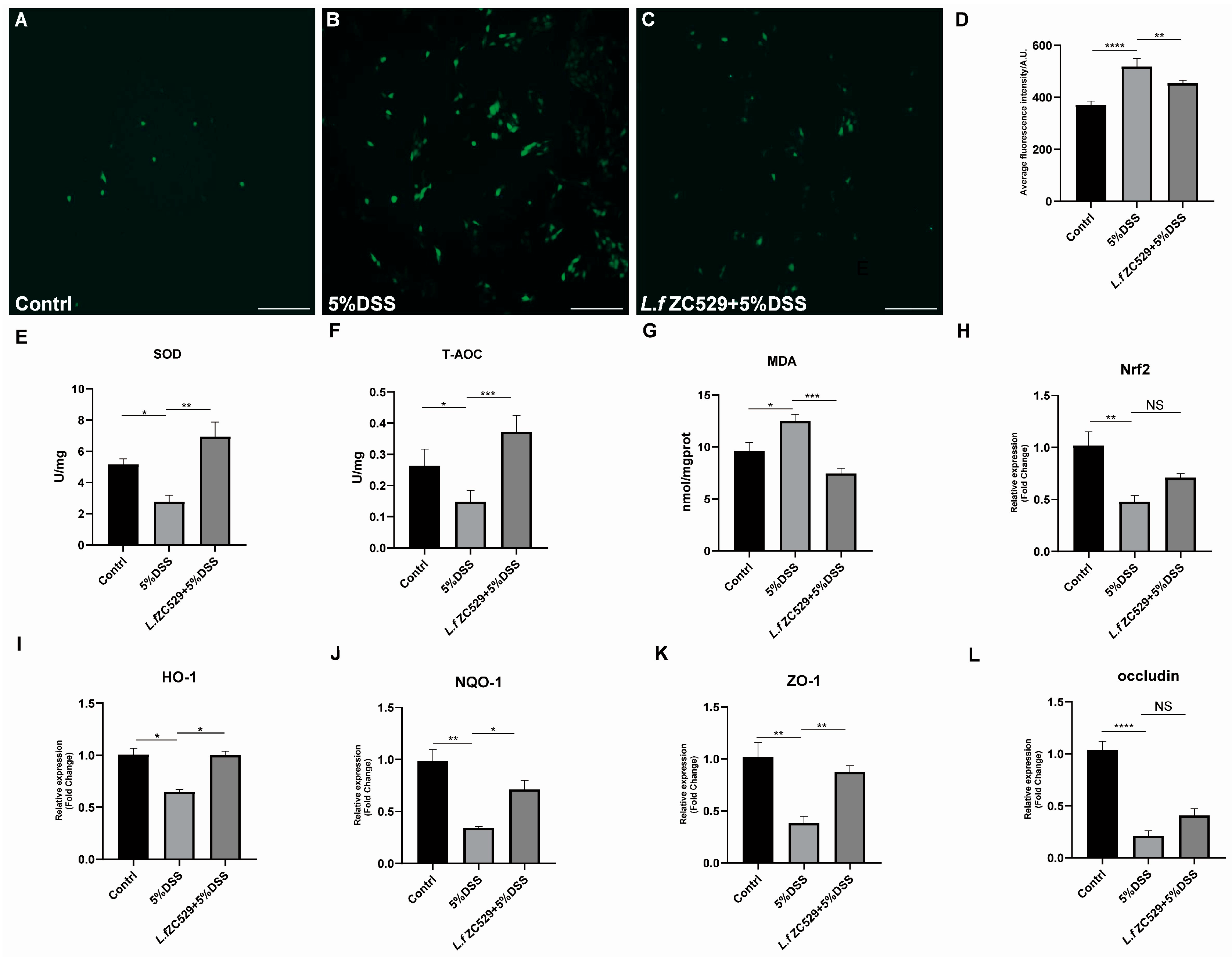 Antioxidants 14 00732 g005
