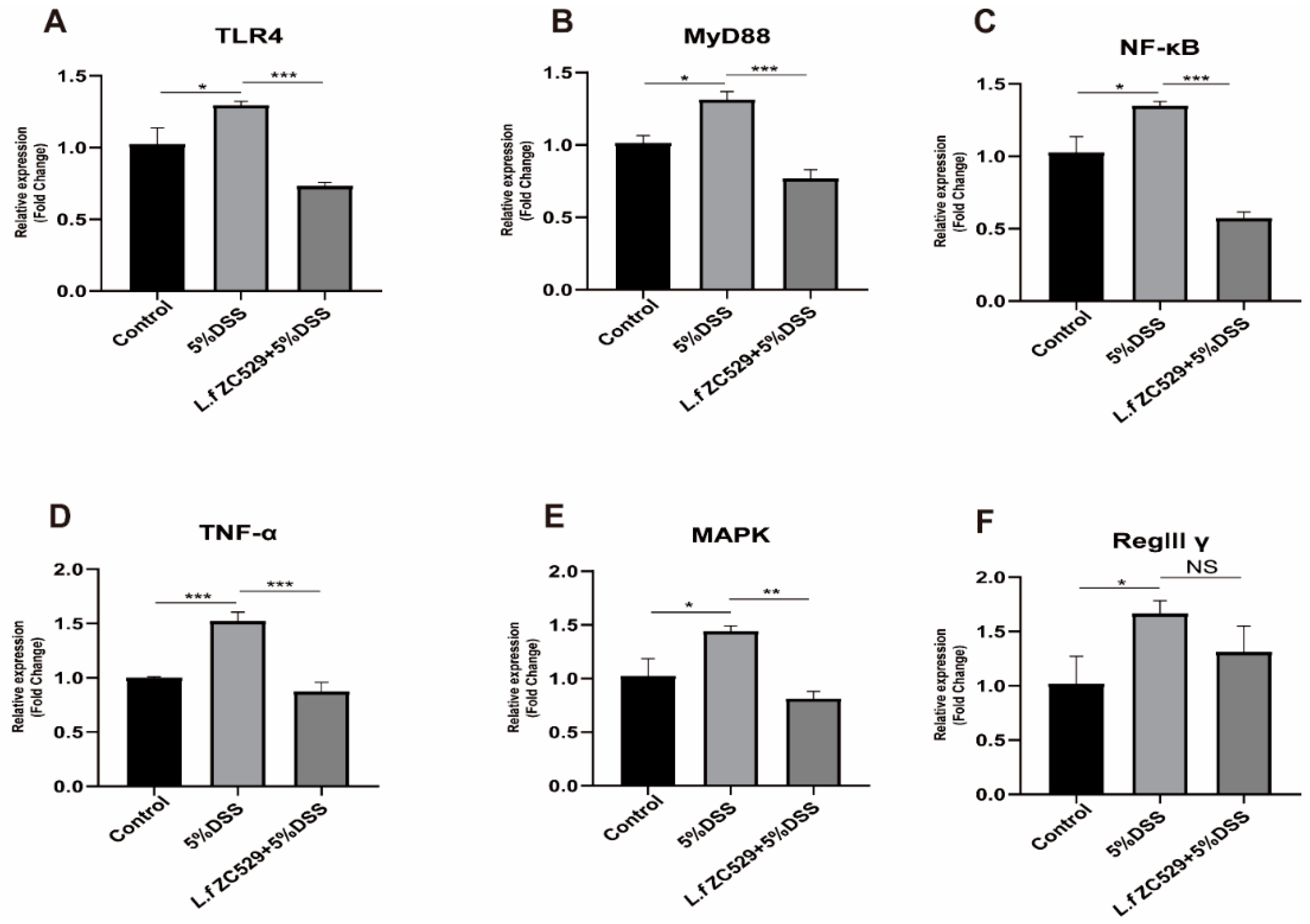 Antioxidants 14 00732 g006