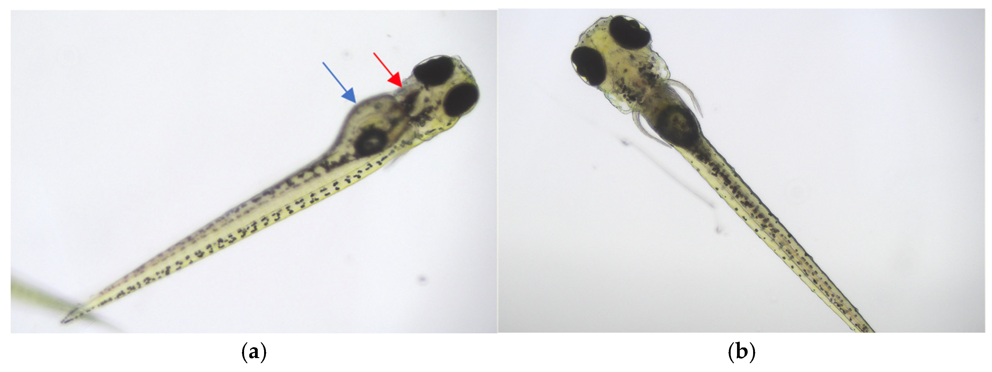 Antioxidants 14 00734 g008