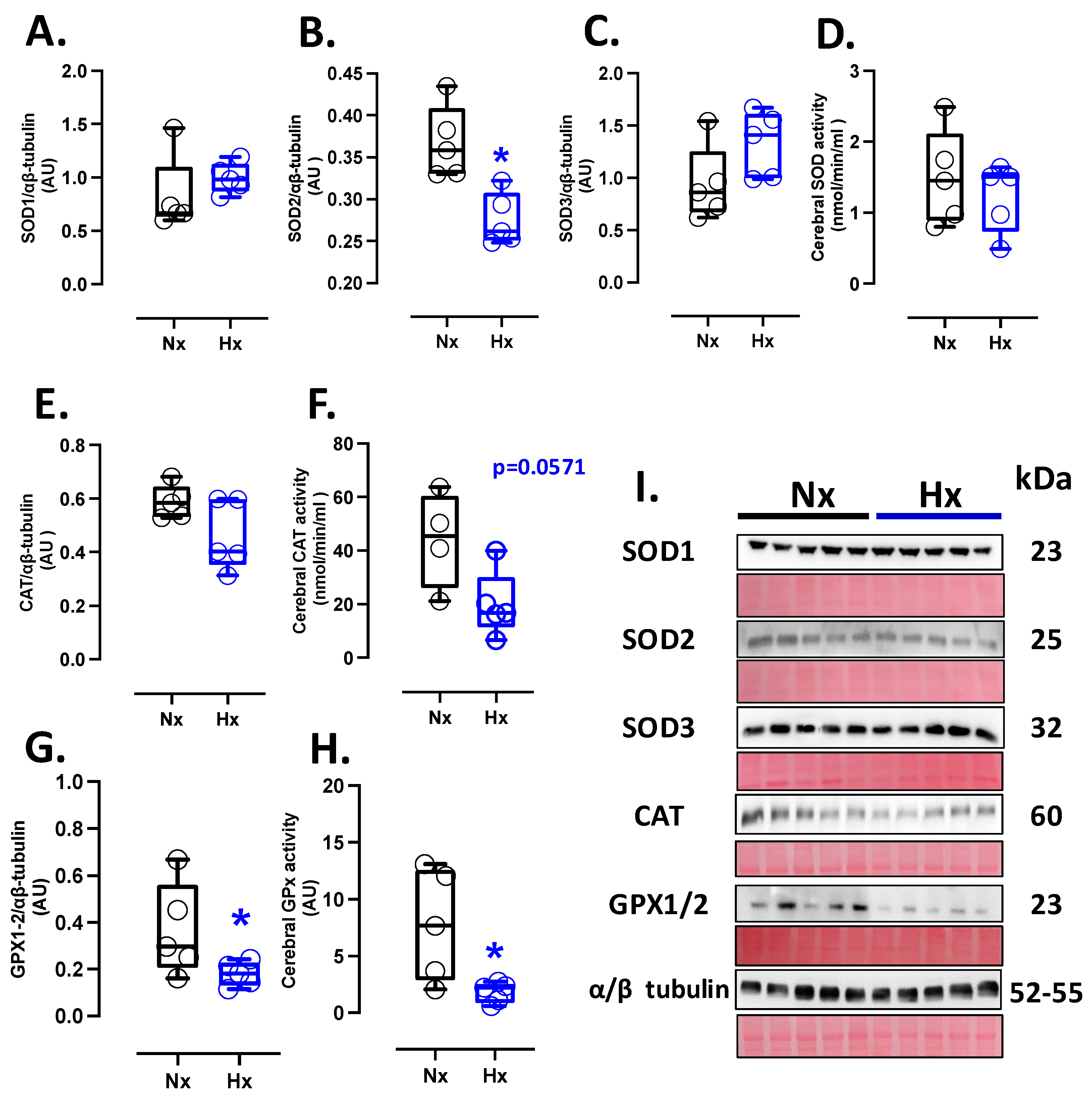 Antioxidants 14 00736 g001