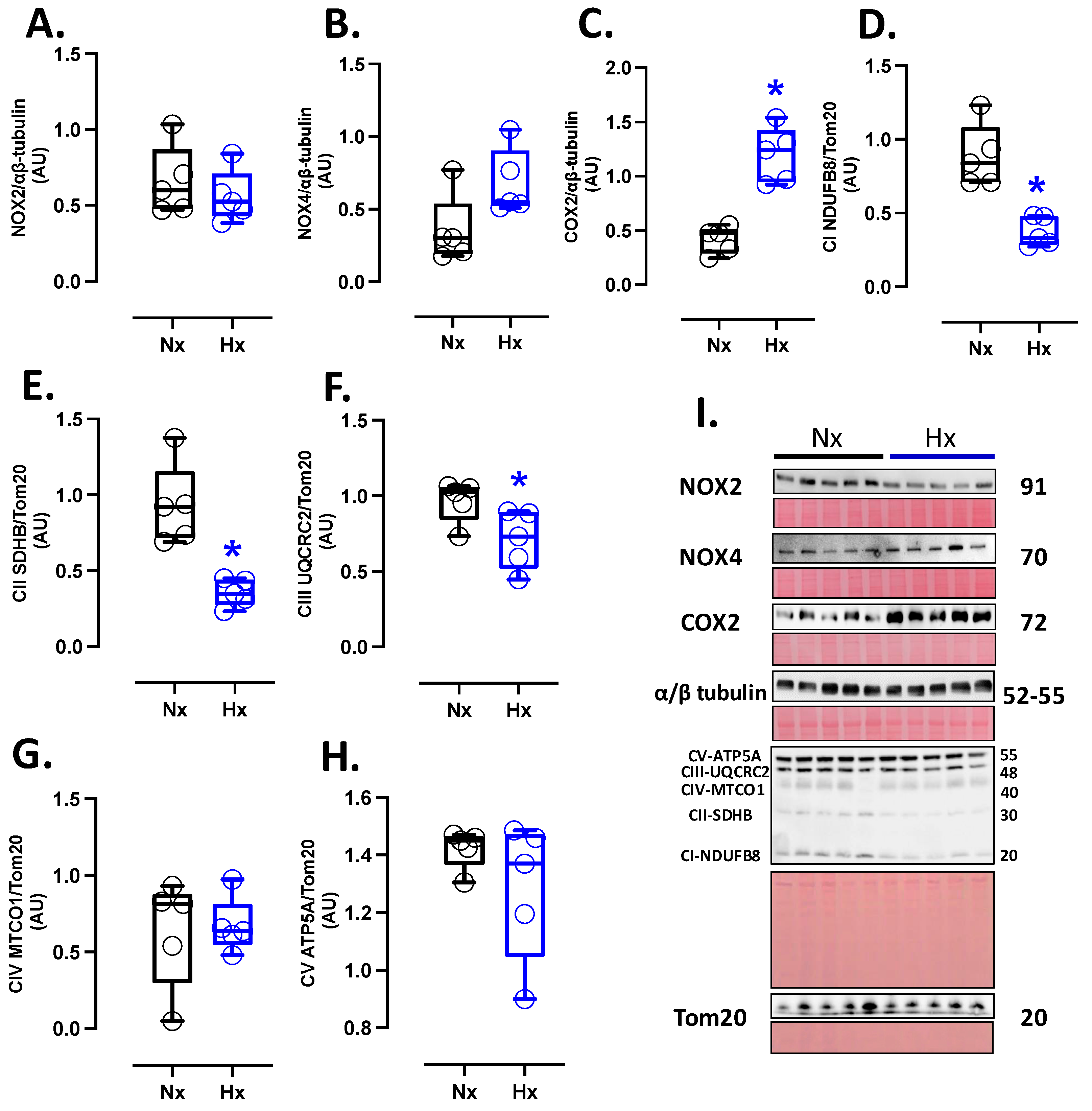 Antioxidants 14 00736 g002