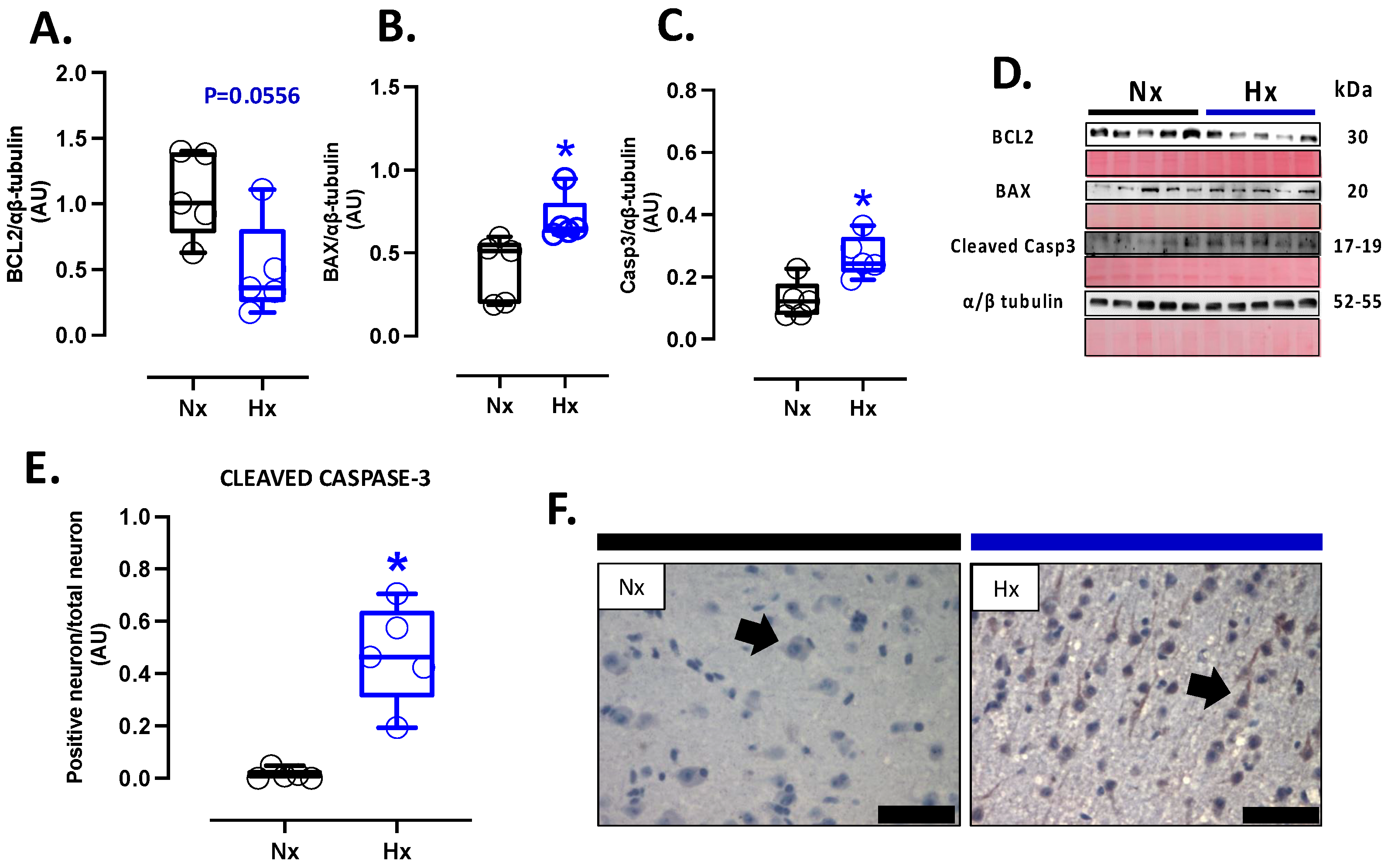 Antioxidants 14 00736 g005