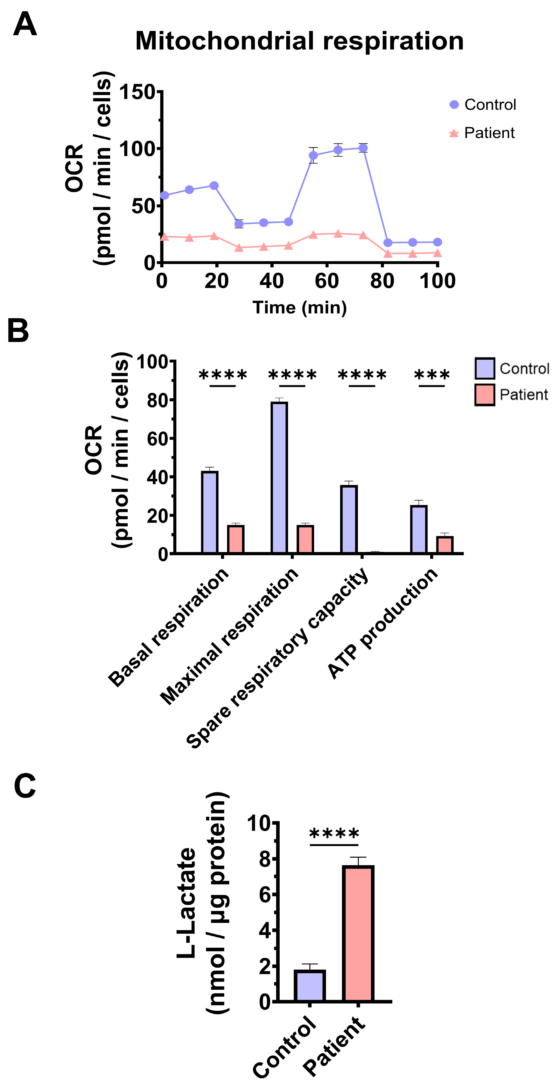 Antioxidants 14 00741 g003