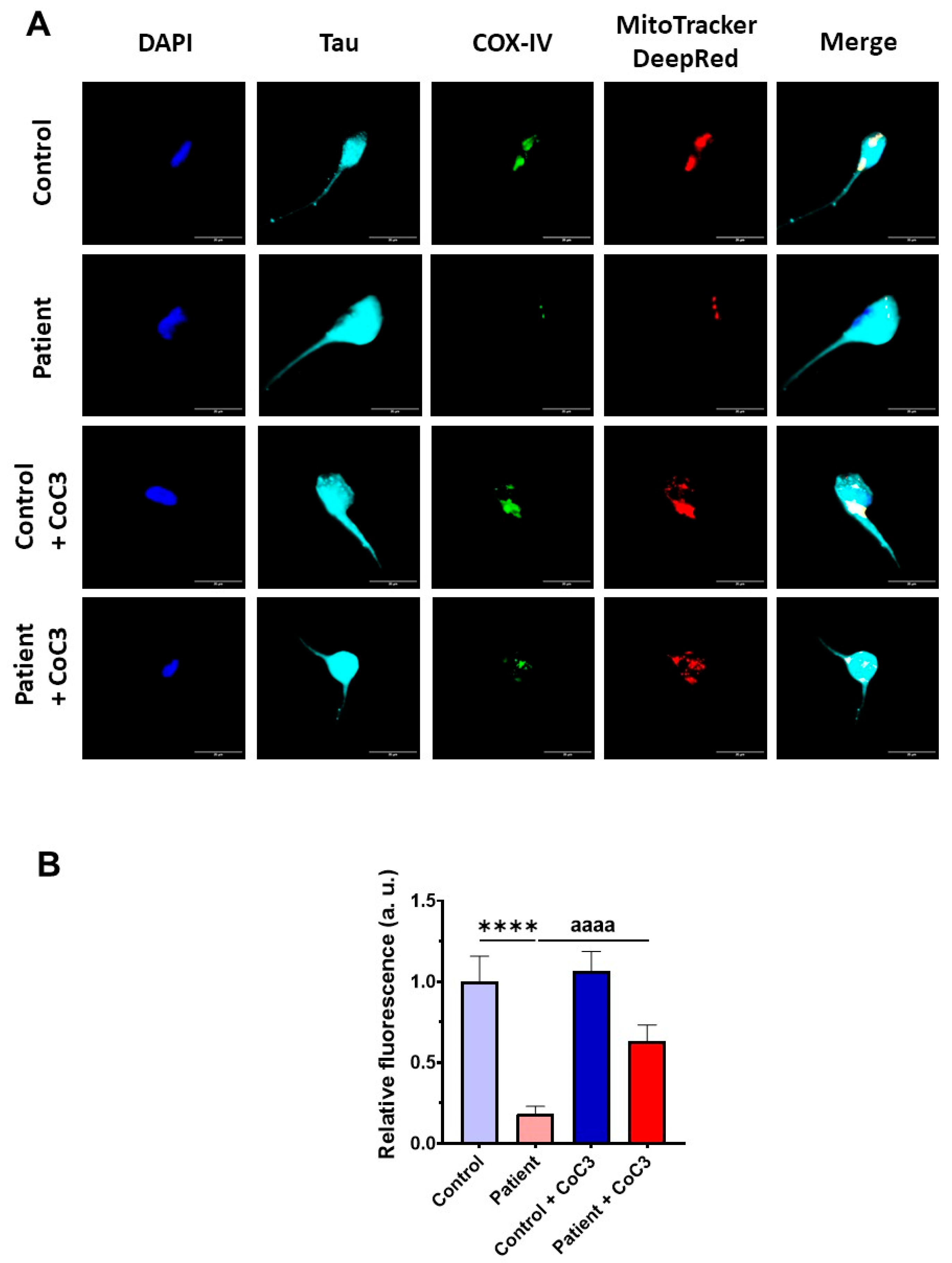 Antioxidants 14 00741 g020