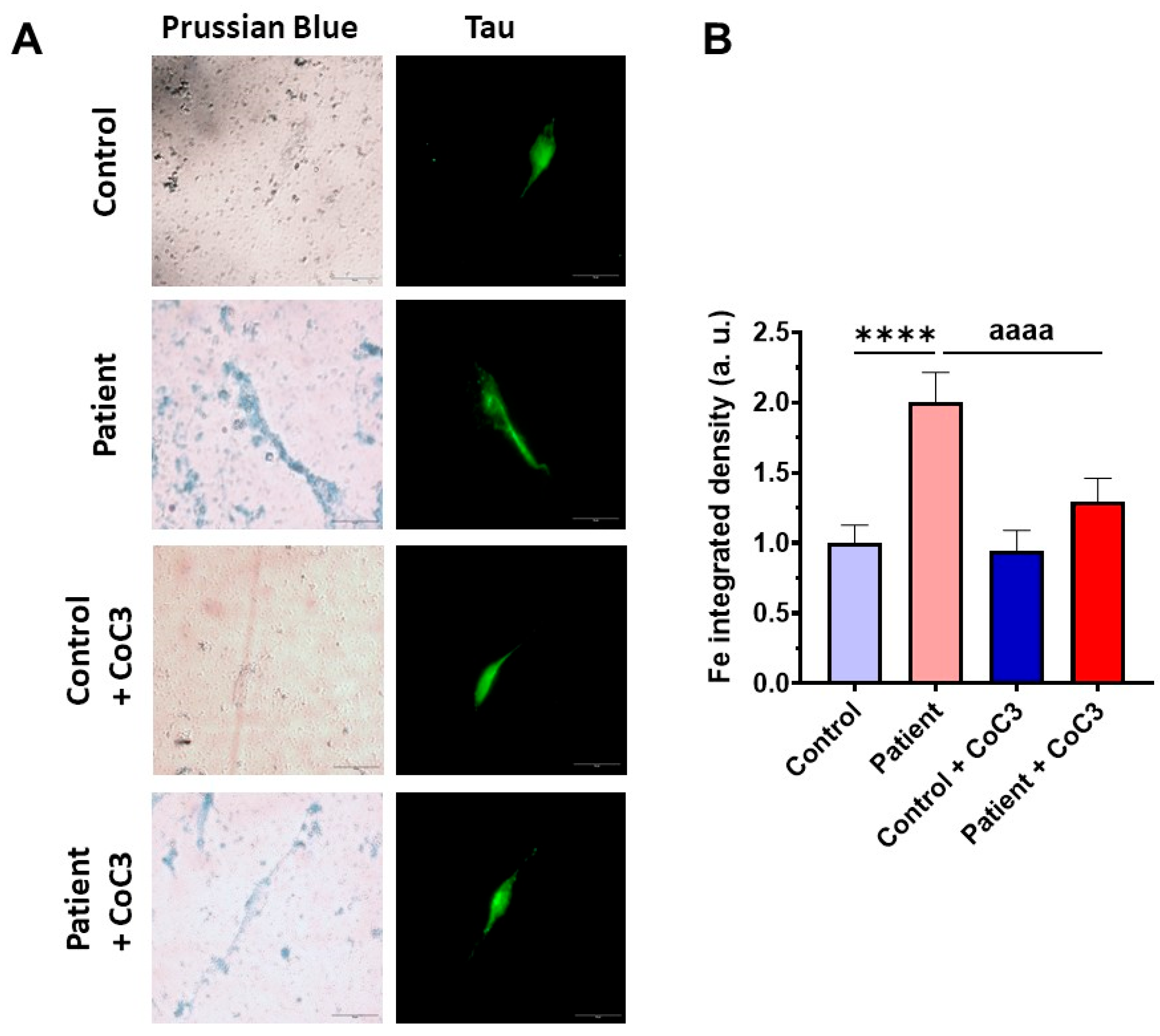 Antioxidants 14 00741 g021