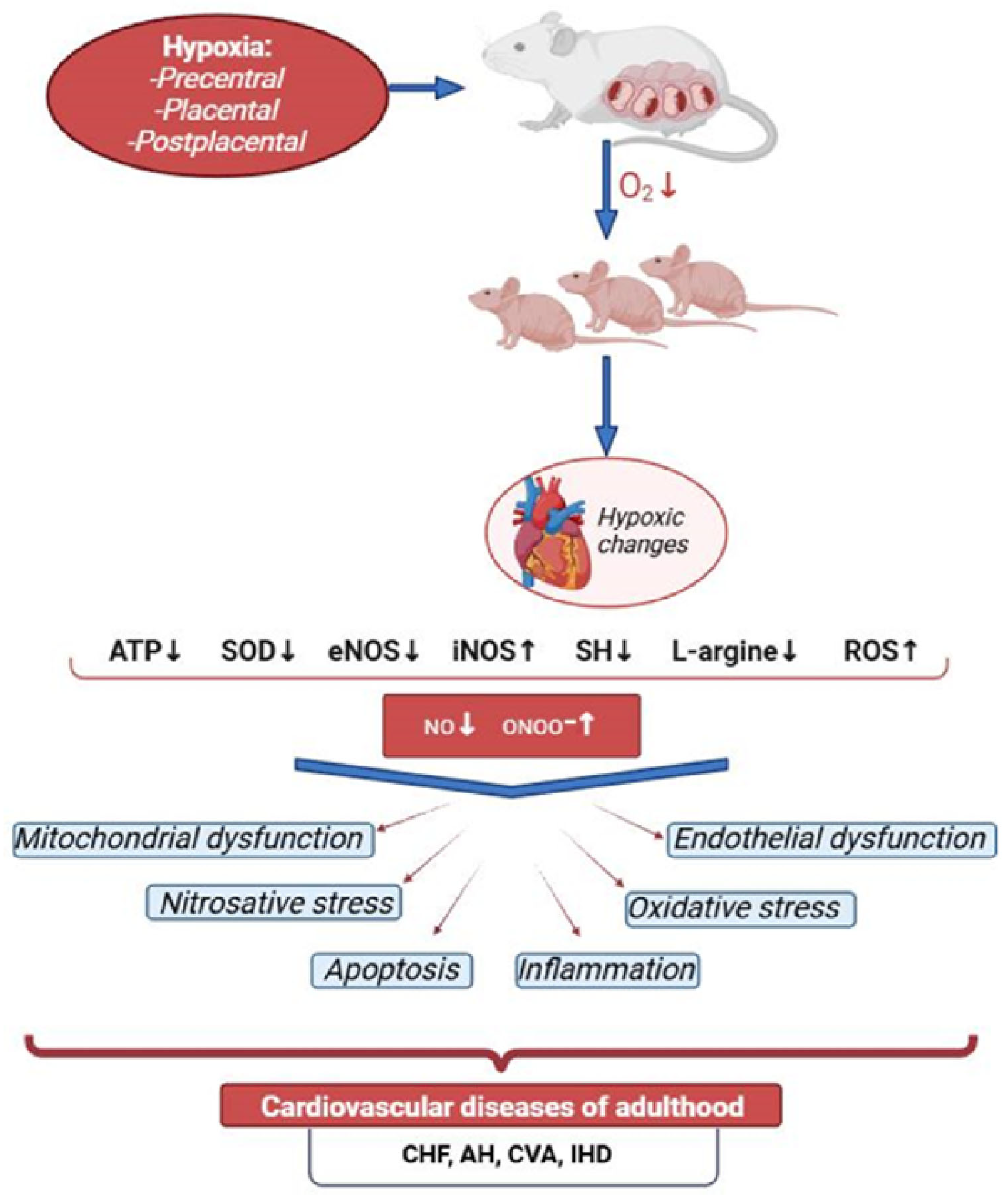 Antioxidants 14 00743 g001