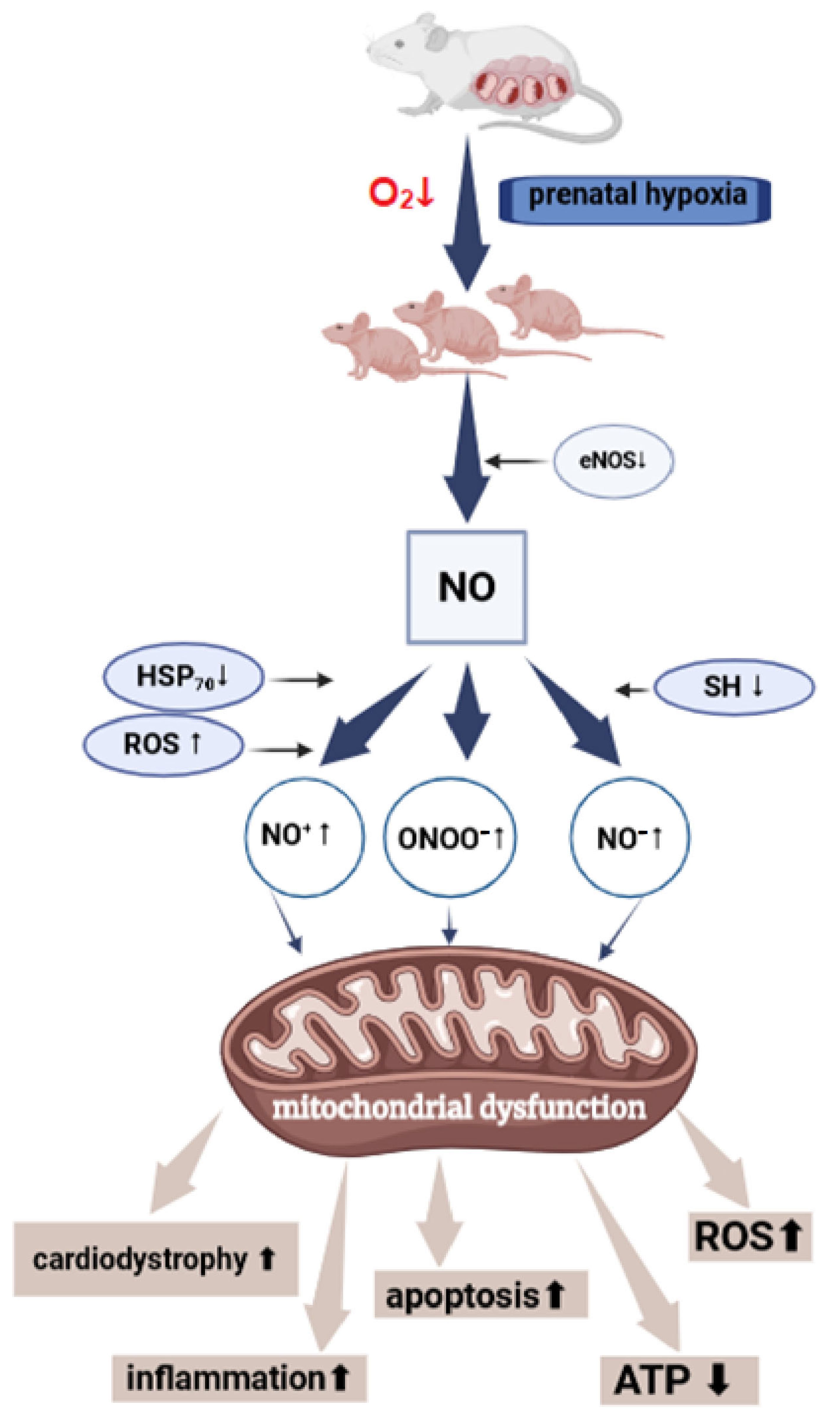 Antioxidants 14 00743 g002