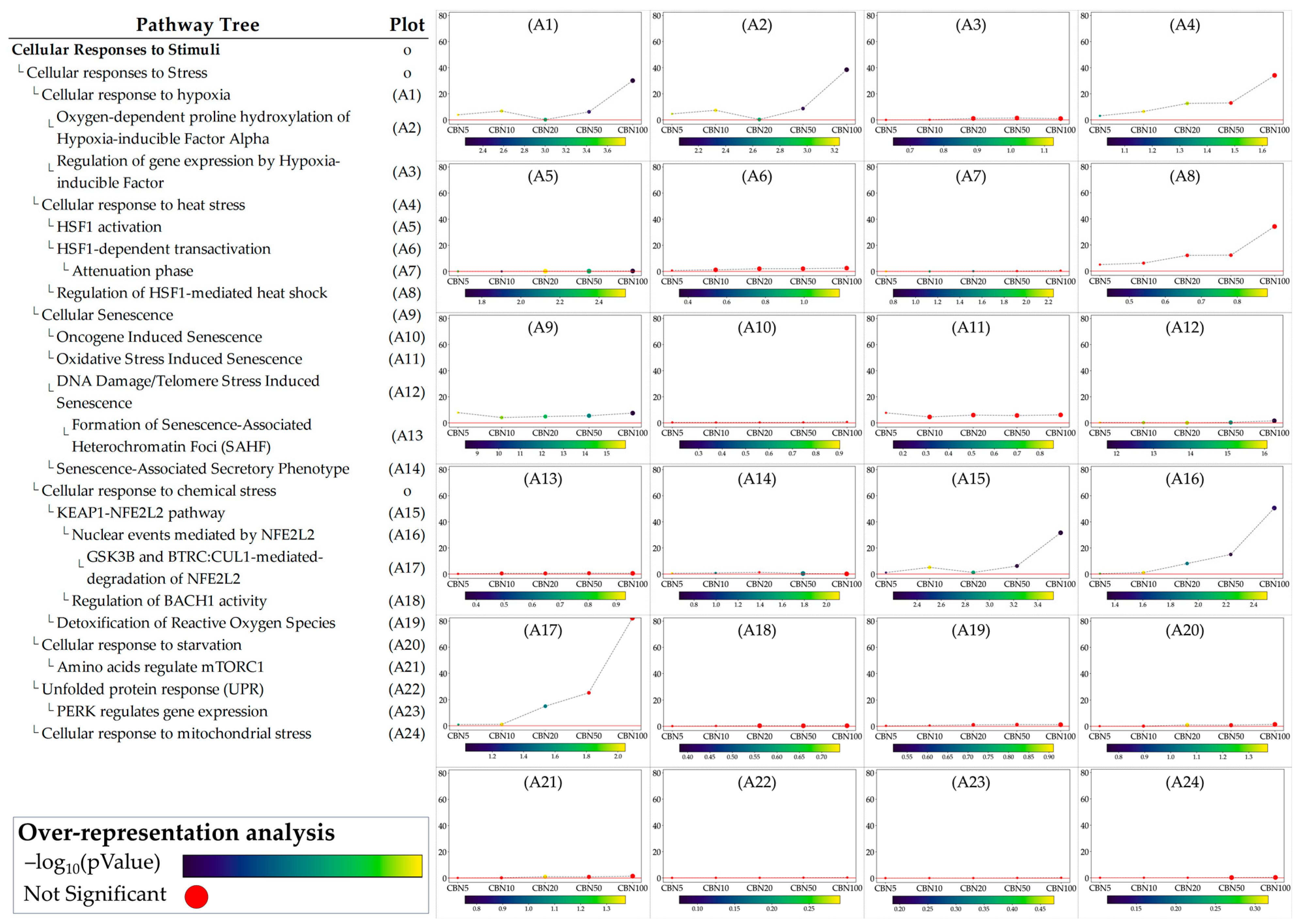 Antioxidants 14 00744 g005