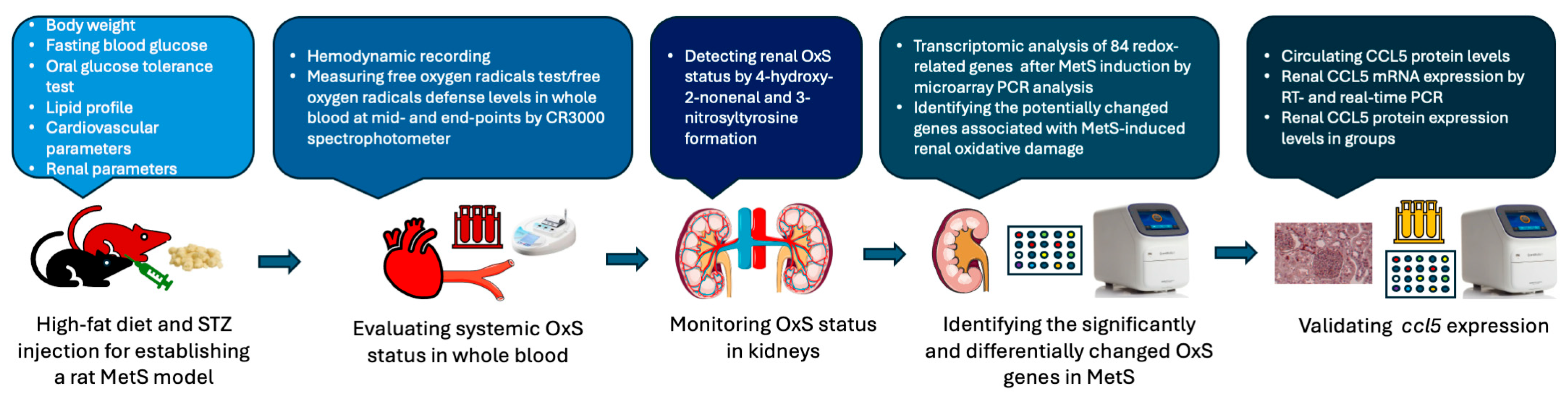 Antioxidants 14 00746 g002