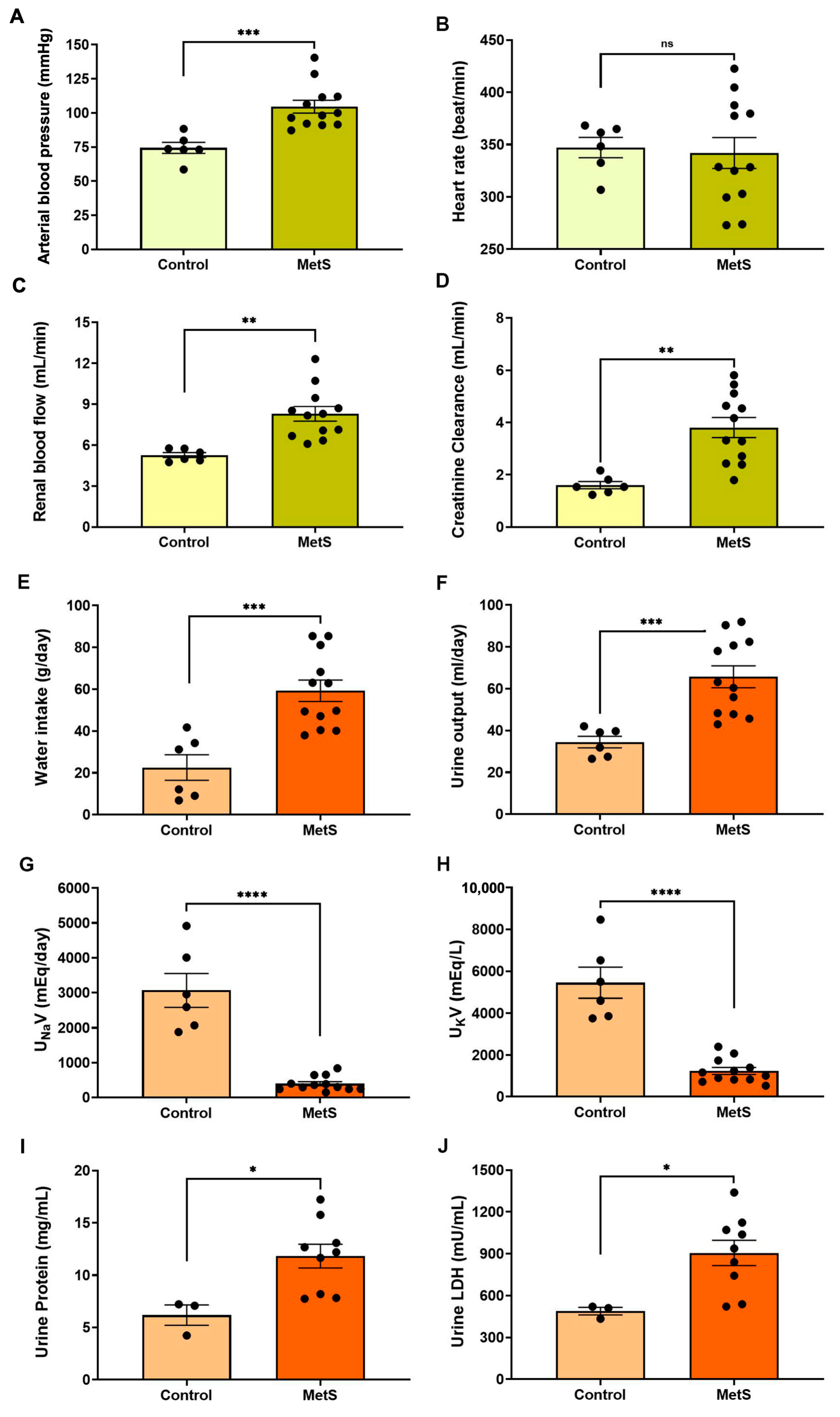 Antioxidants 14 00746 g005