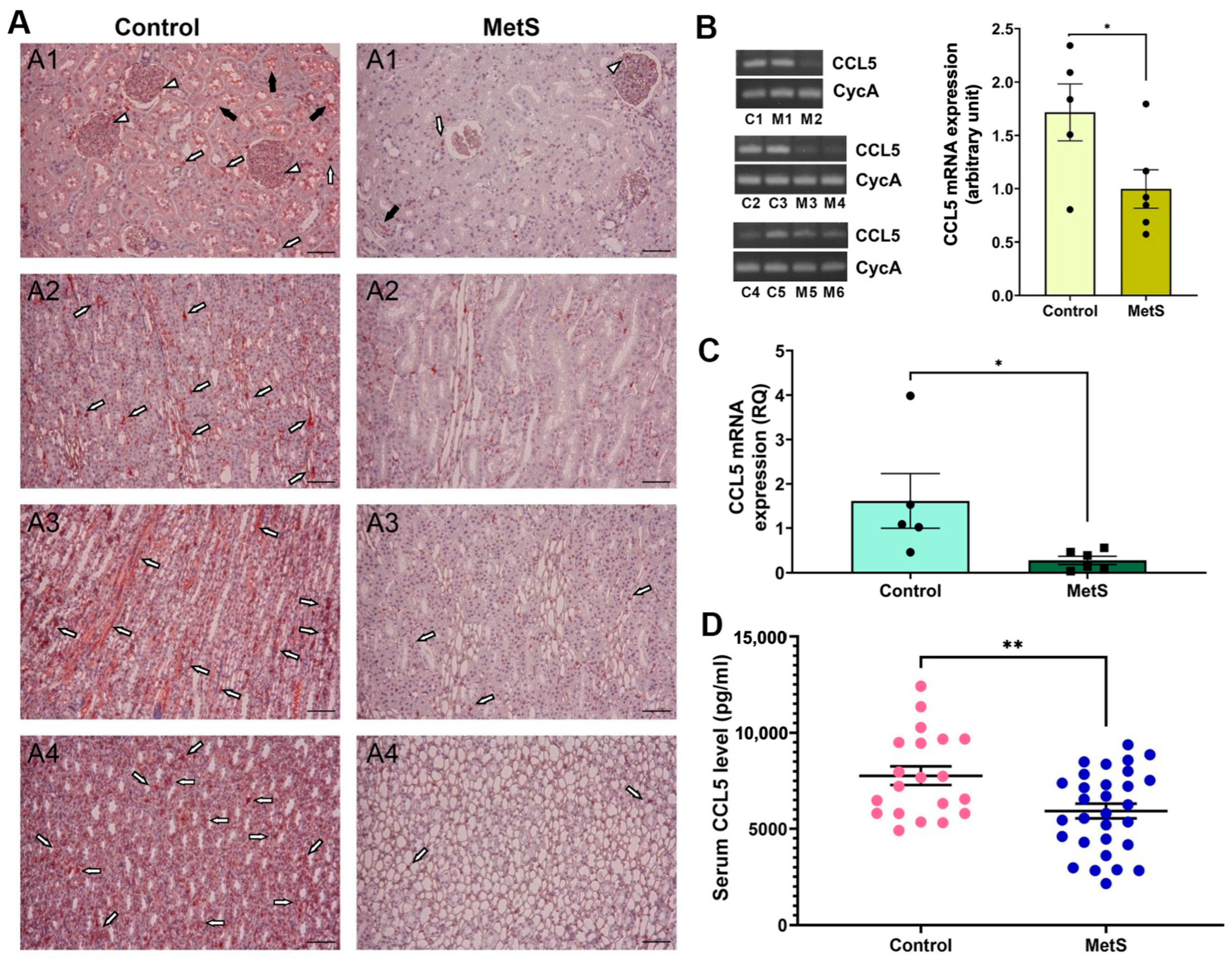 Antioxidants 14 00746 g008