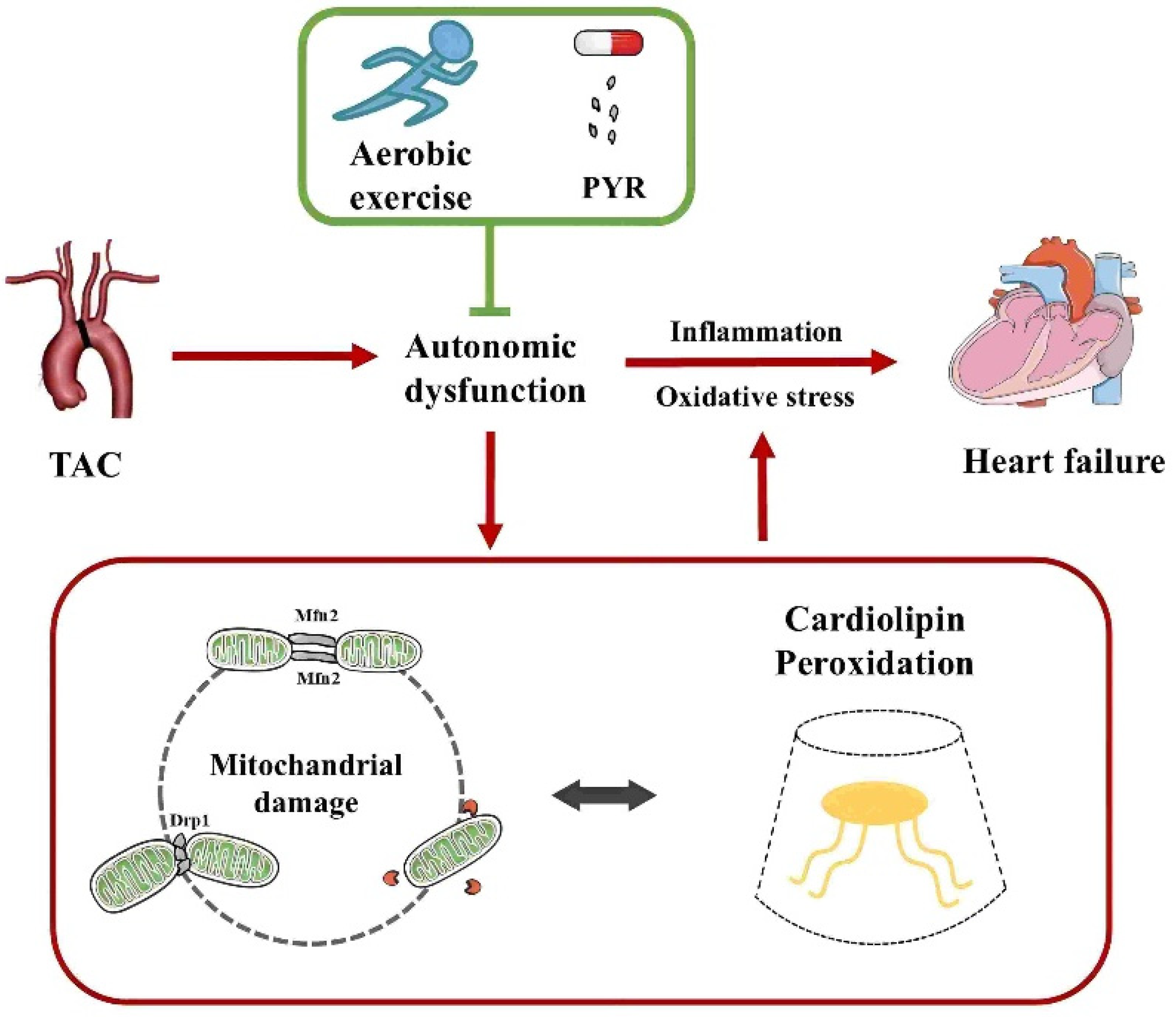 Antioxidants 14 00748 g001