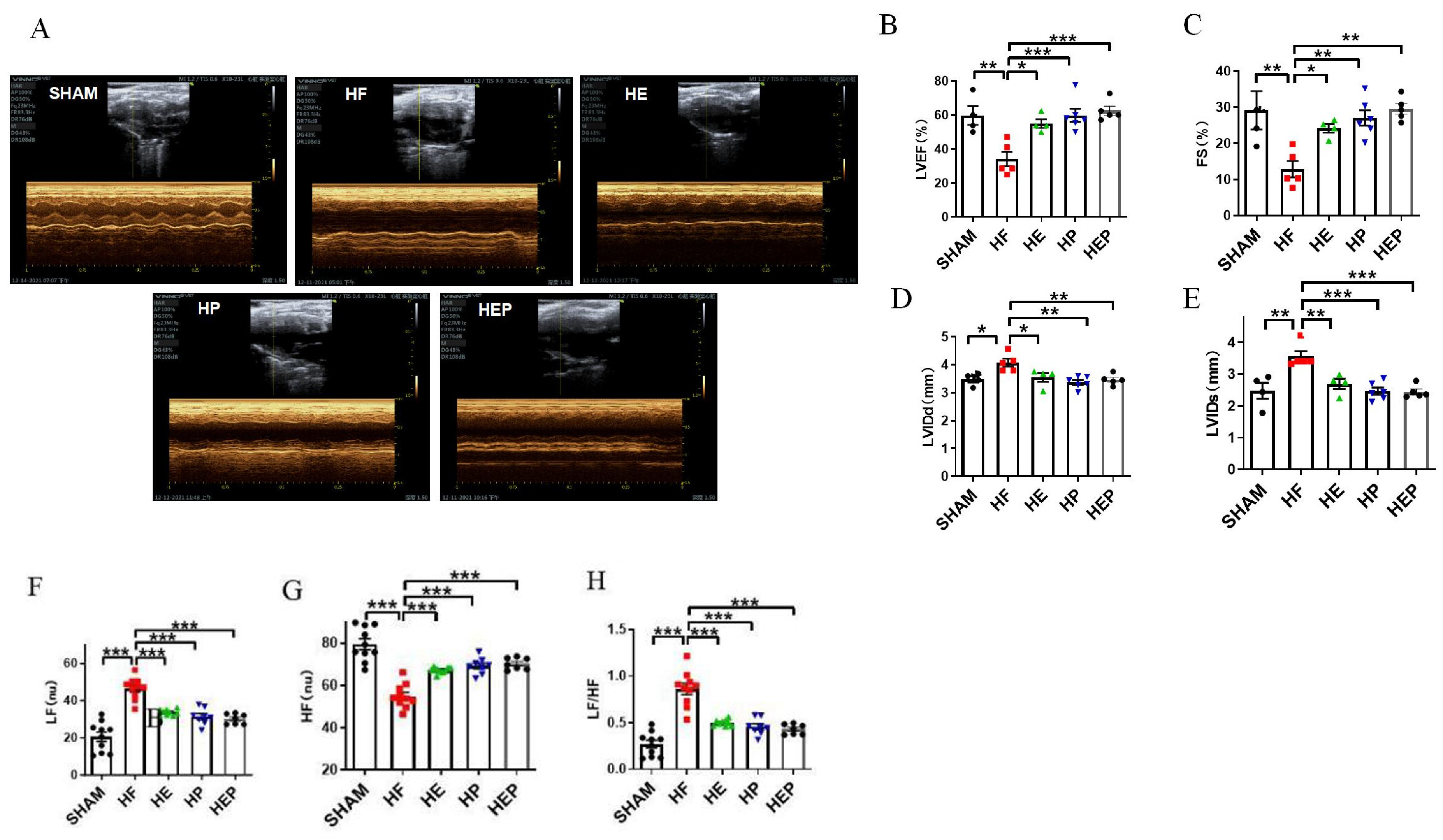 Antioxidants 14 00748 g002