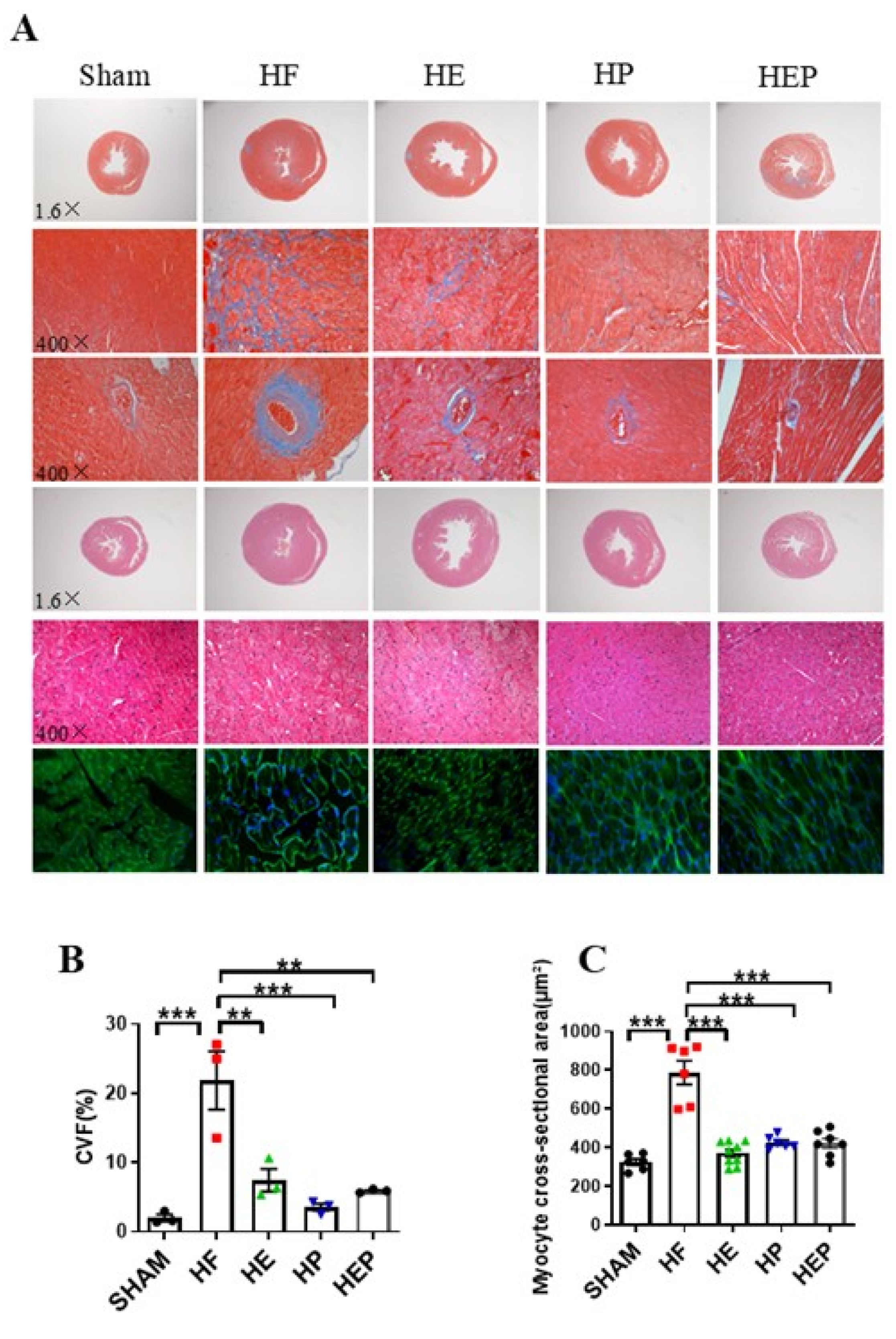 Antioxidants 14 00748 g003