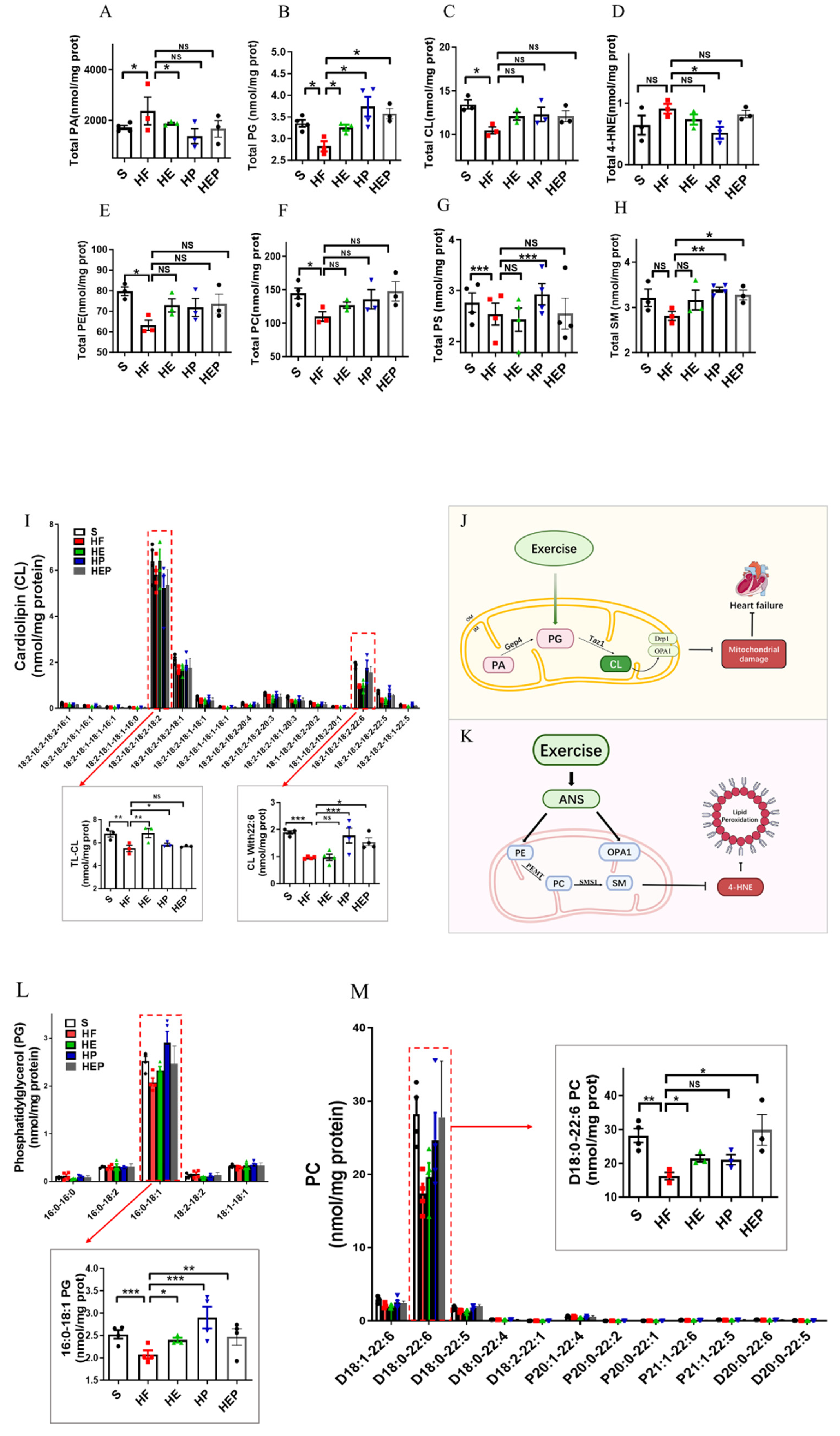 Antioxidants 14 00748 g004