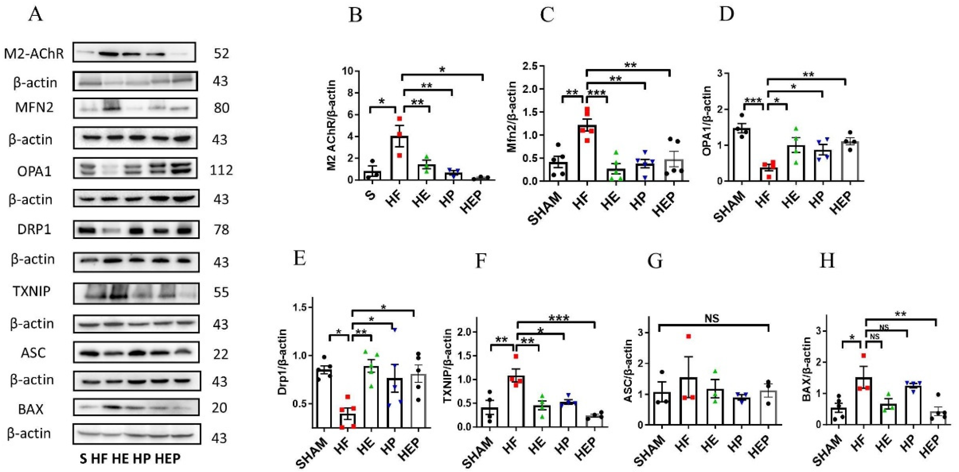 Antioxidants 14 00748 g006