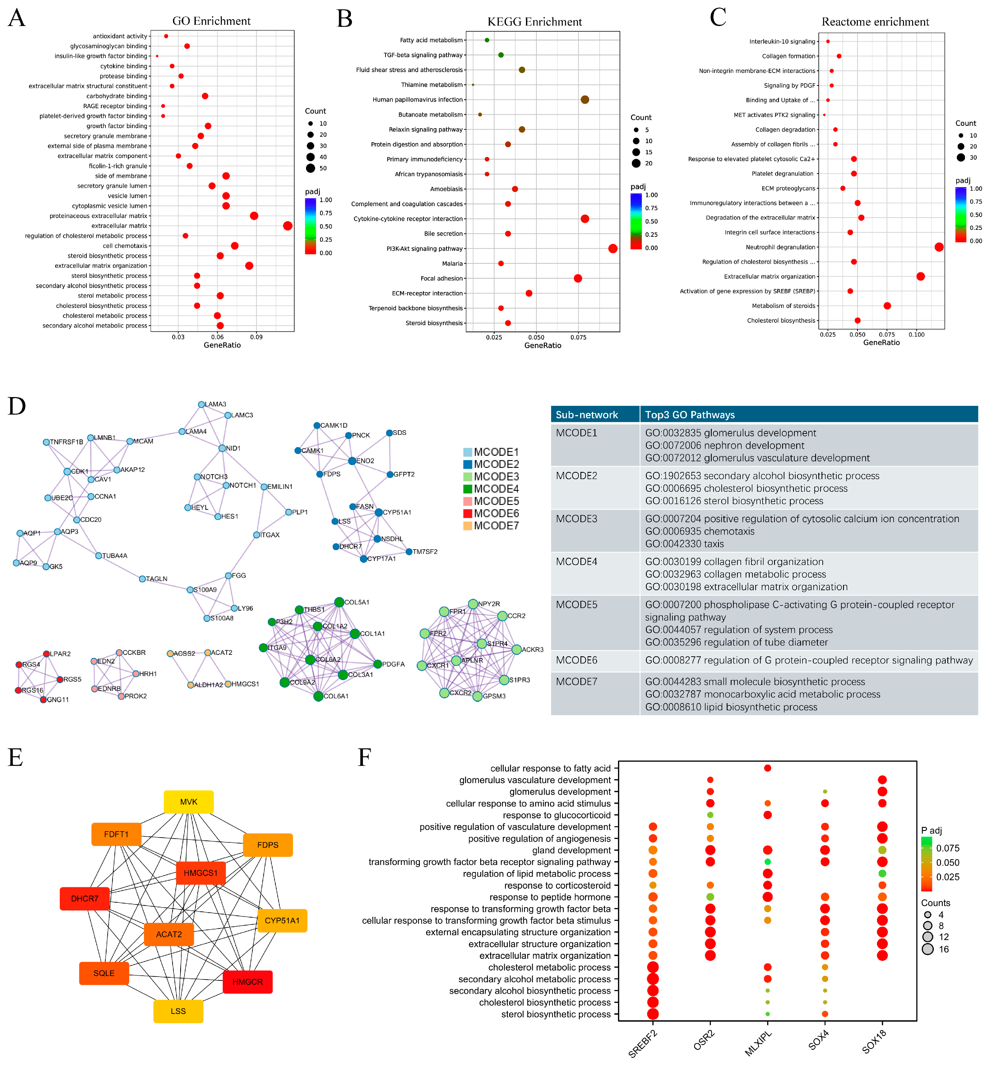 Antioxidants 14 00749 g001
