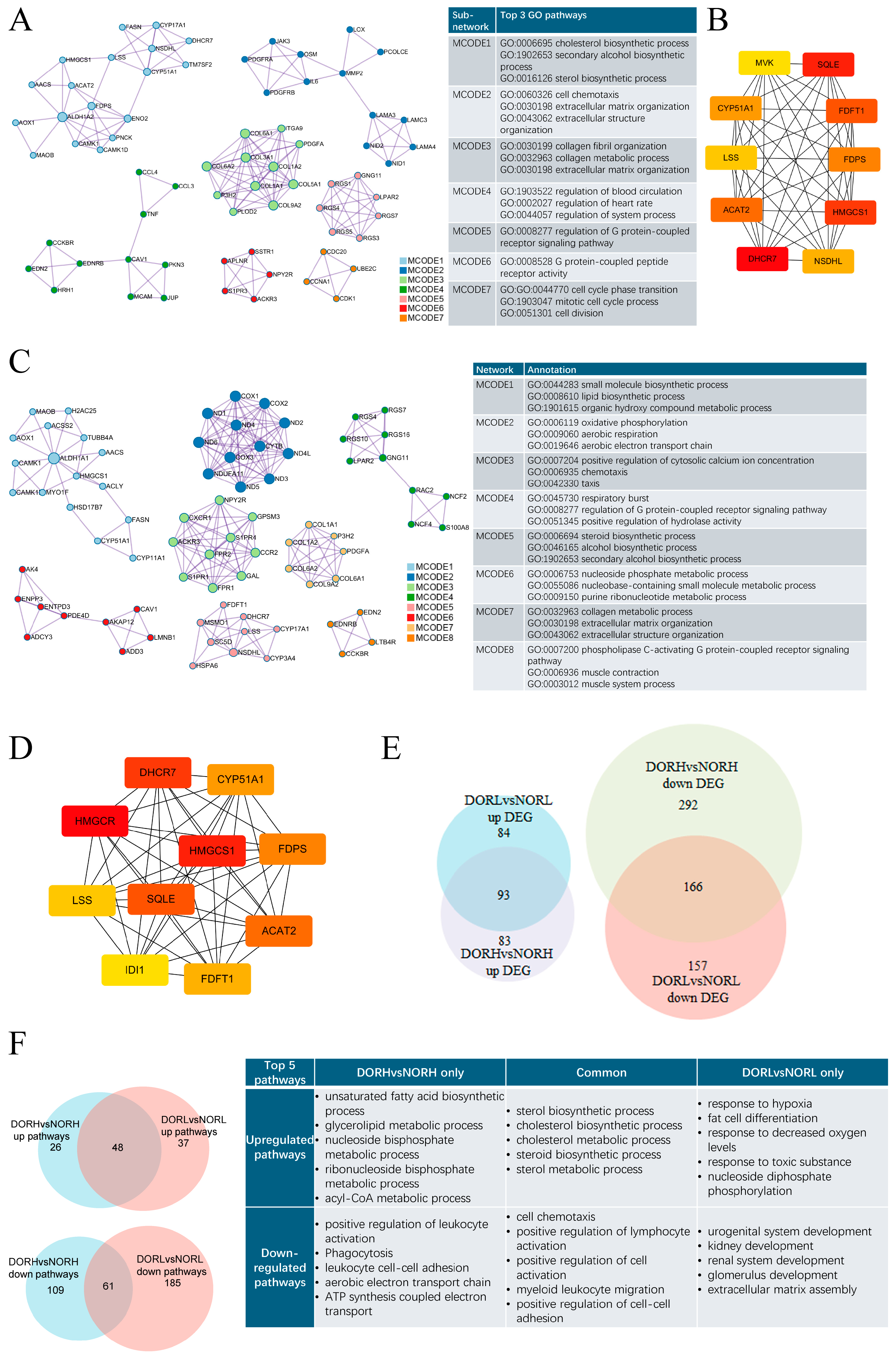 Antioxidants 14 00749 g002