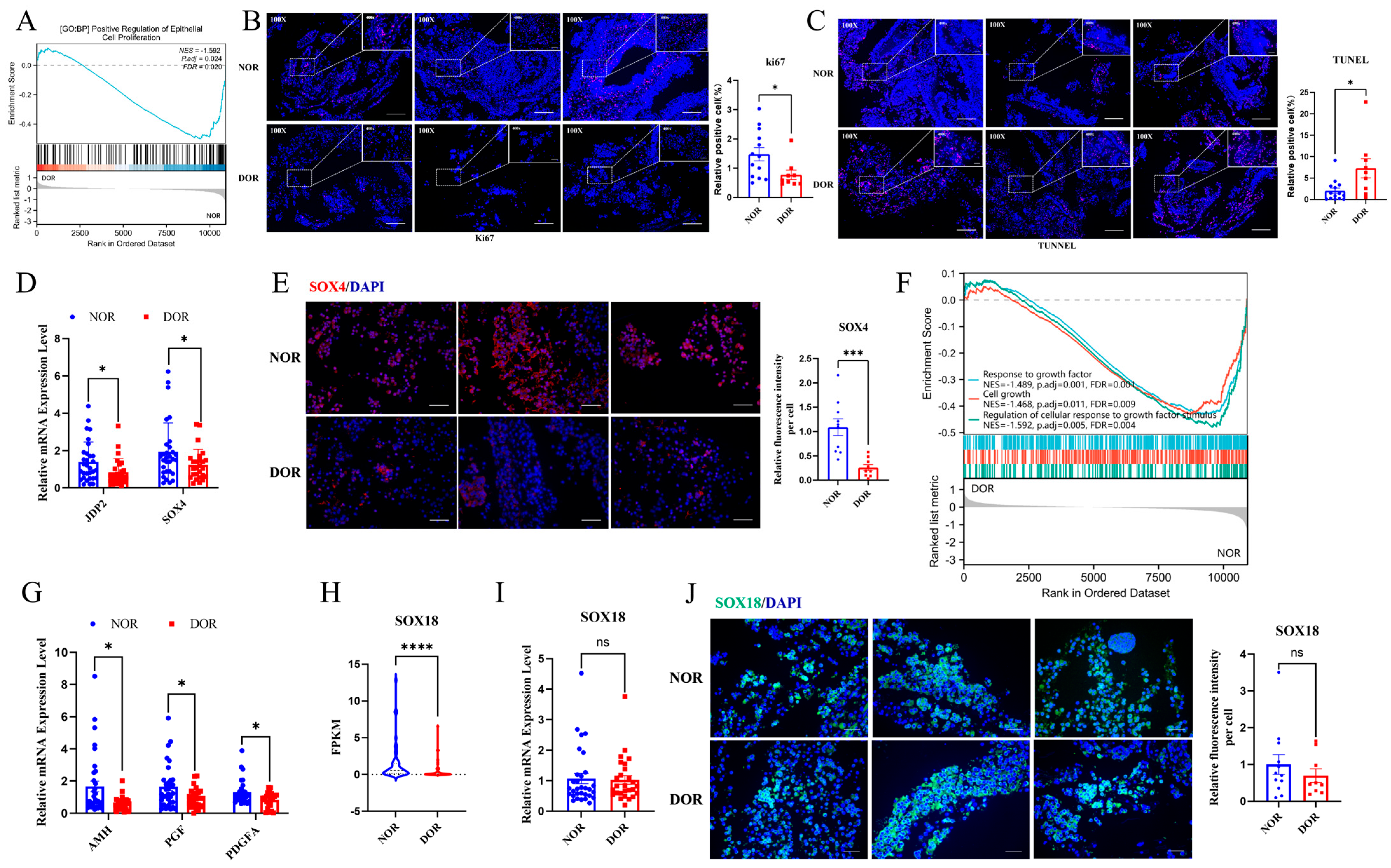 Antioxidants 14 00749 g004