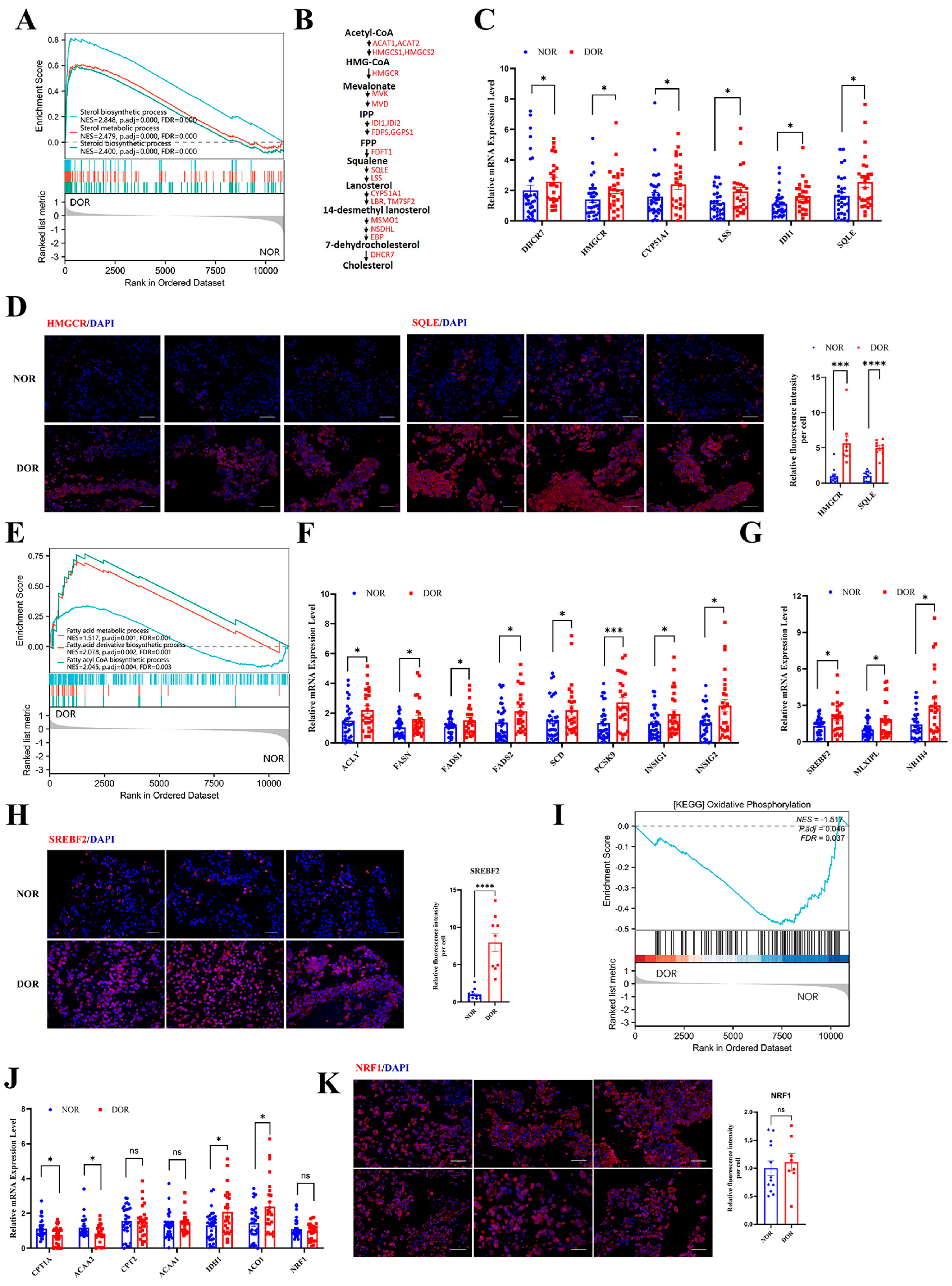 Antioxidants 14 00749 g007