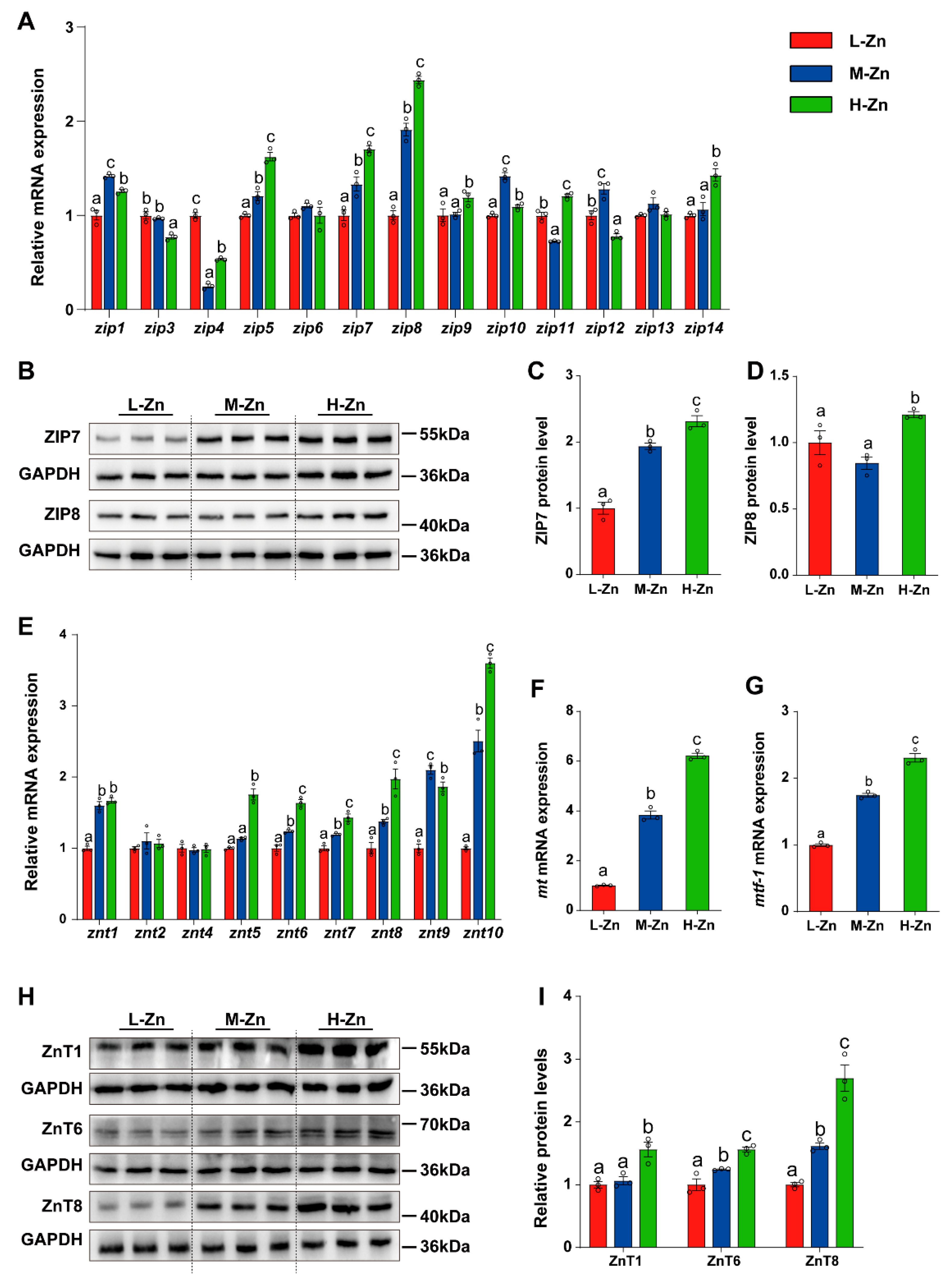 Antioxidants 14 00750 g002