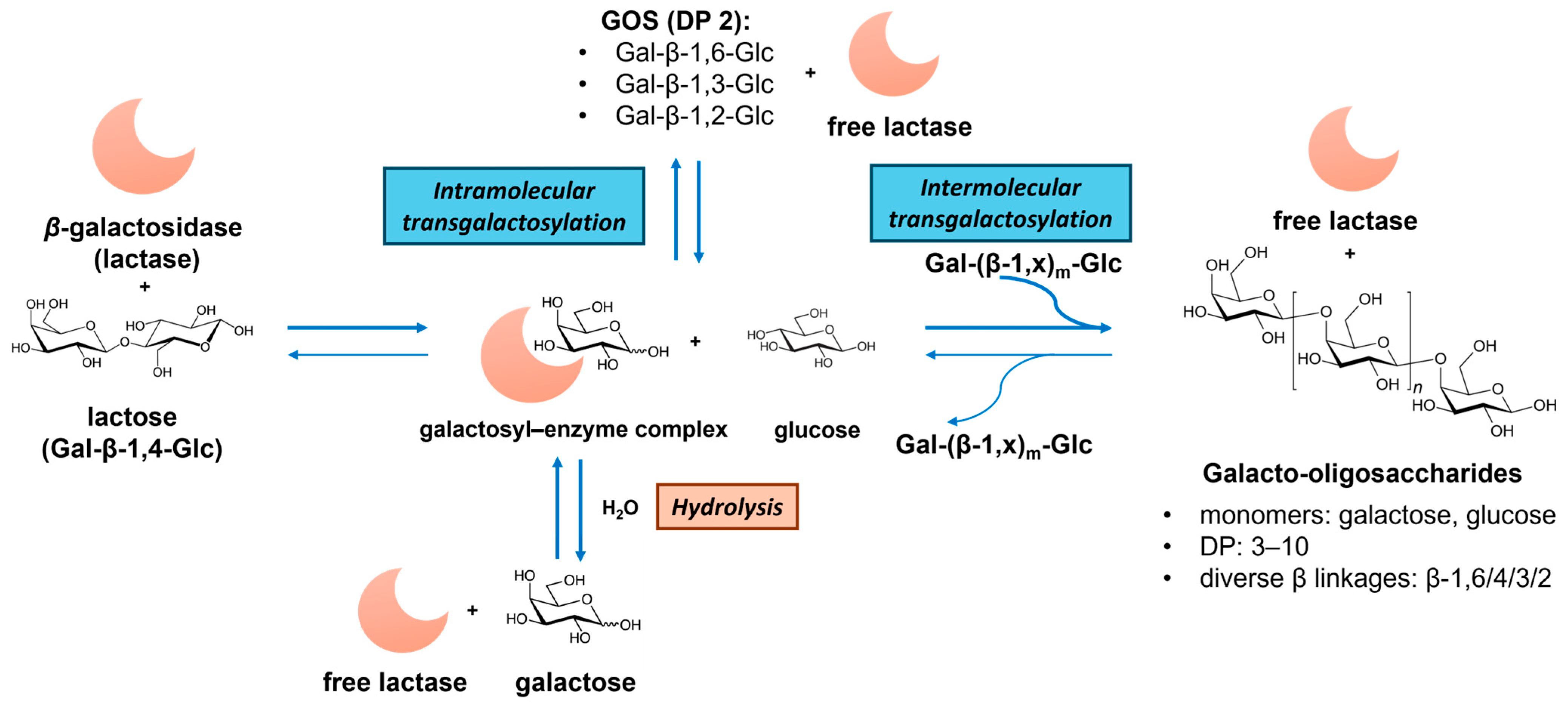 Antioxidants 14 00754 g003
