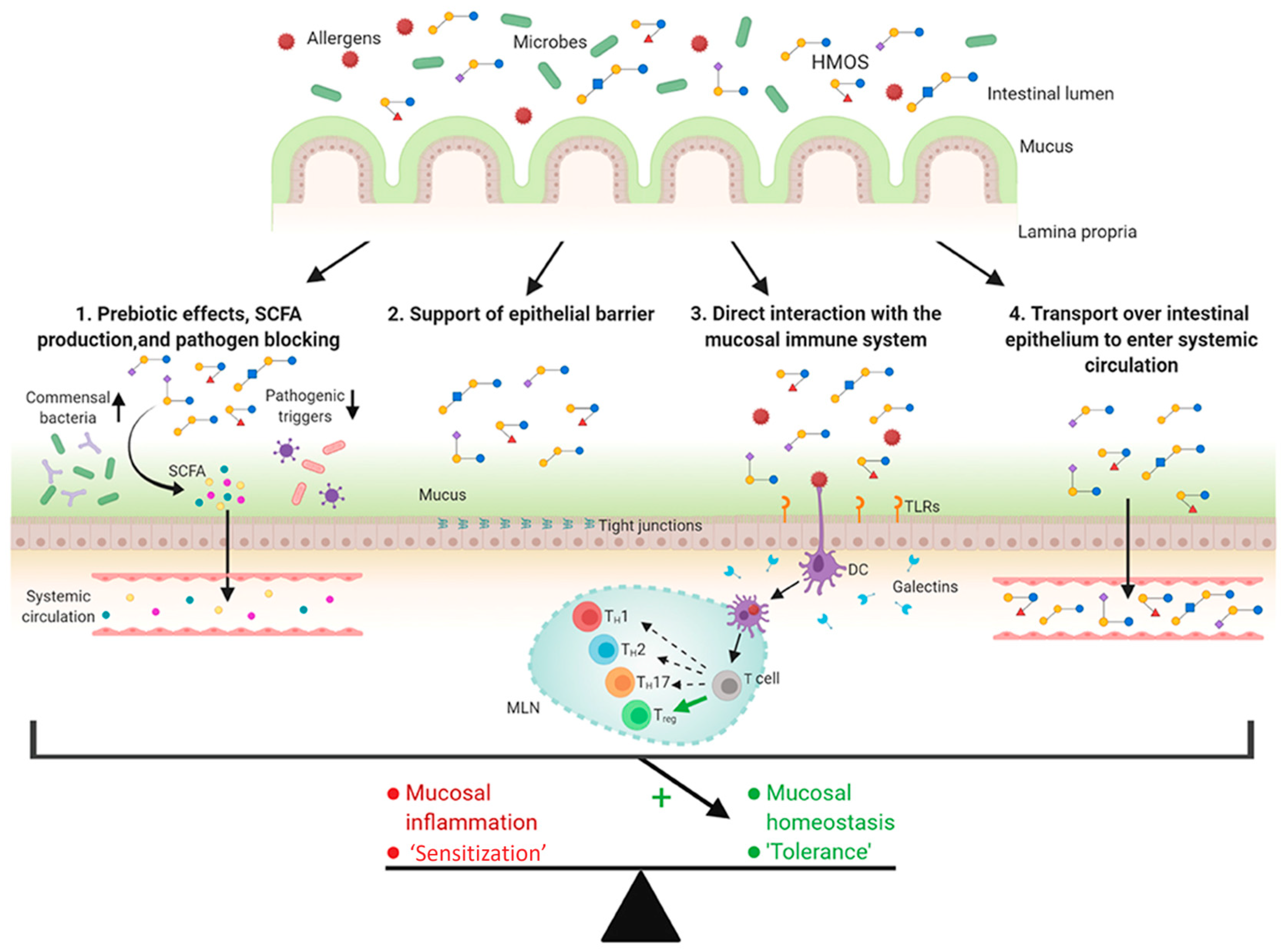 Antioxidants 14 00754 g010