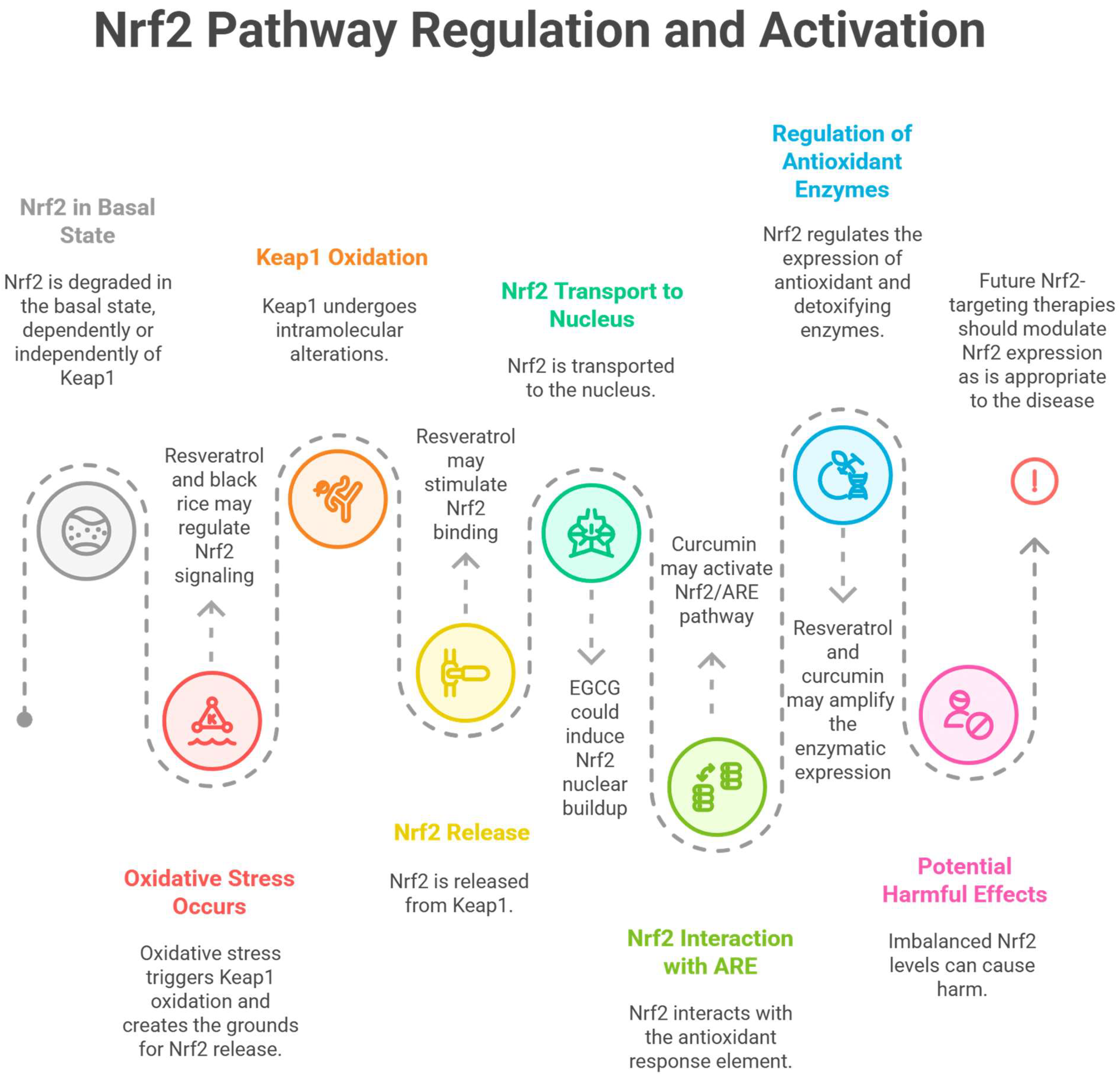 Antioxidants 14 00757 g003