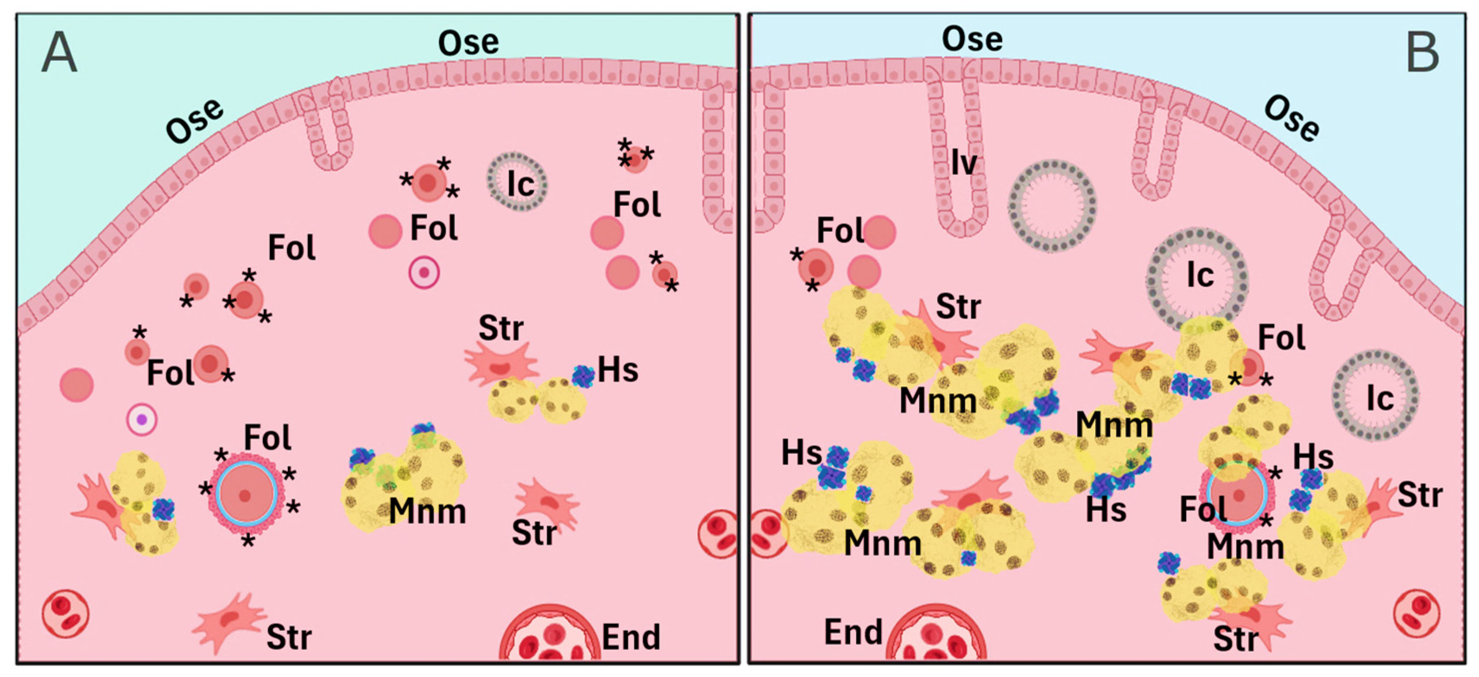 Antioxidants 14 00759 g004