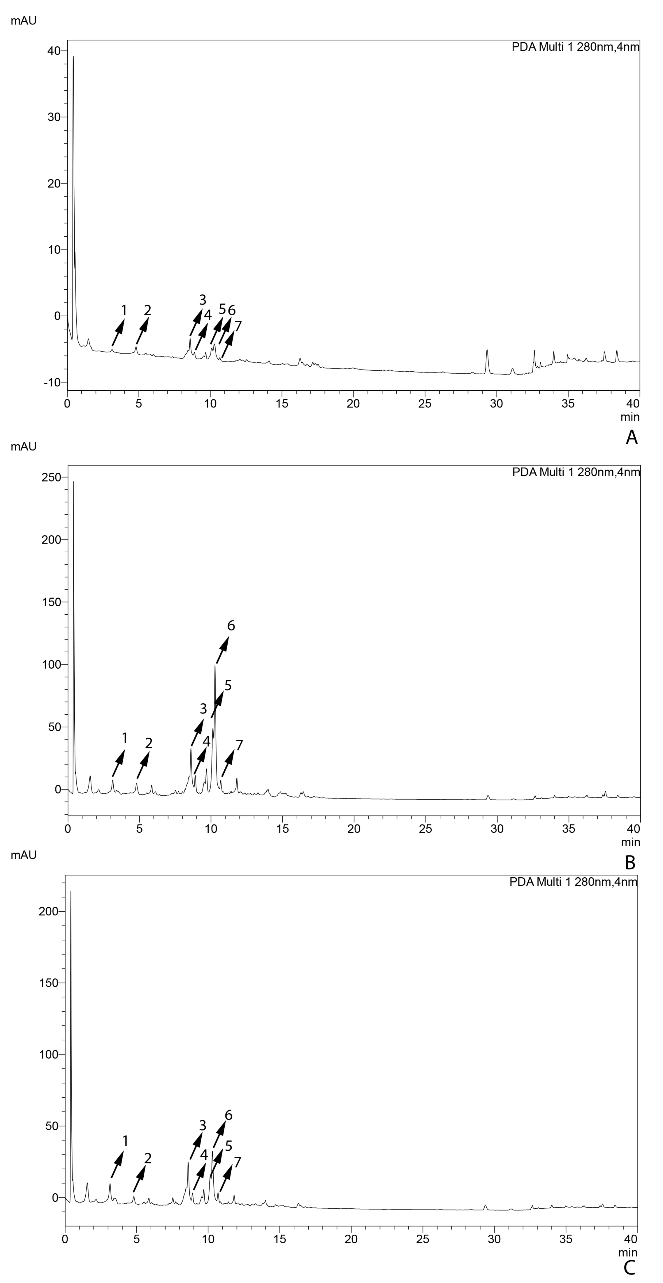 Antioxidants 14 00761 g003