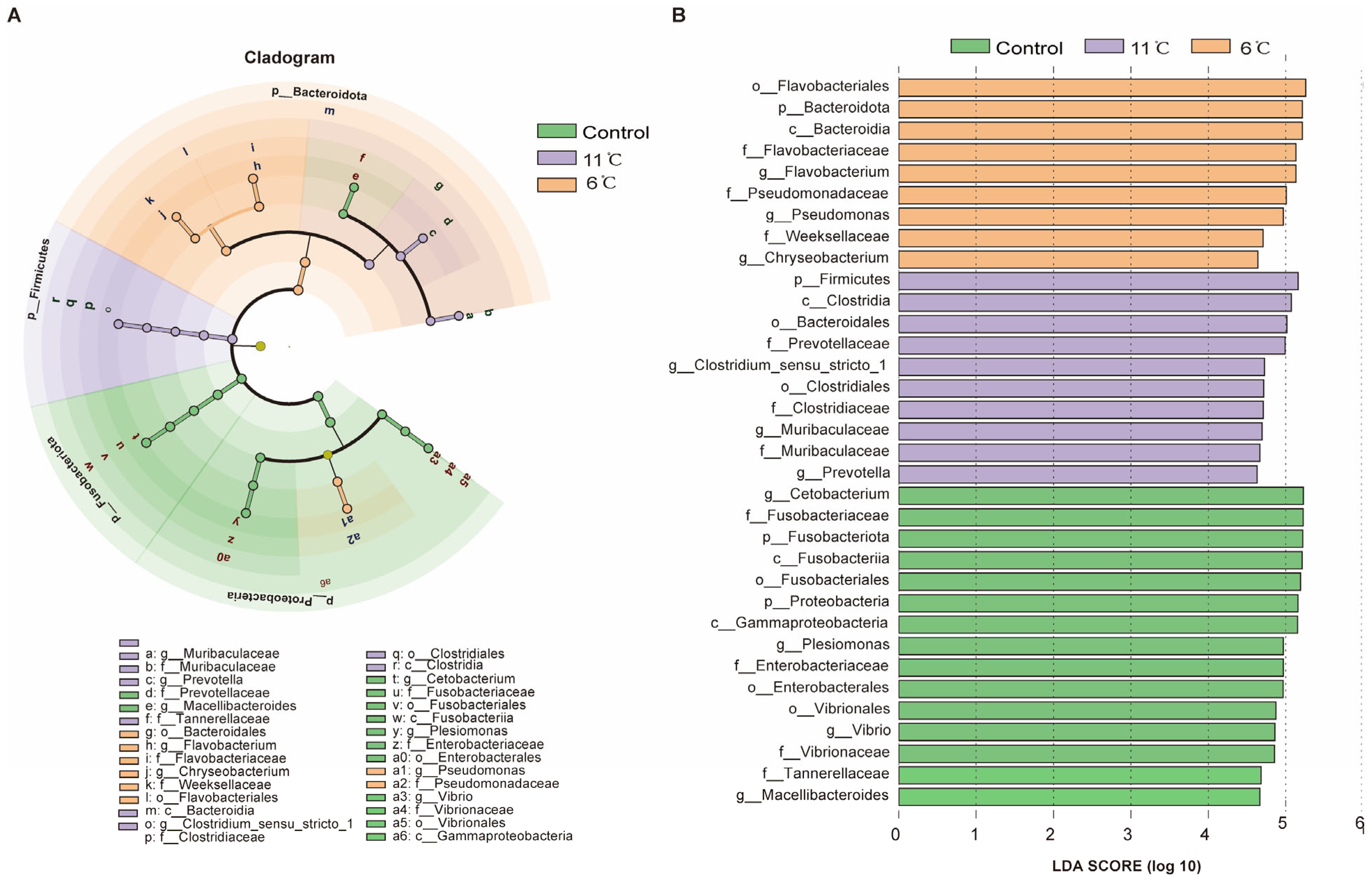 Antioxidants 14 00762 g007