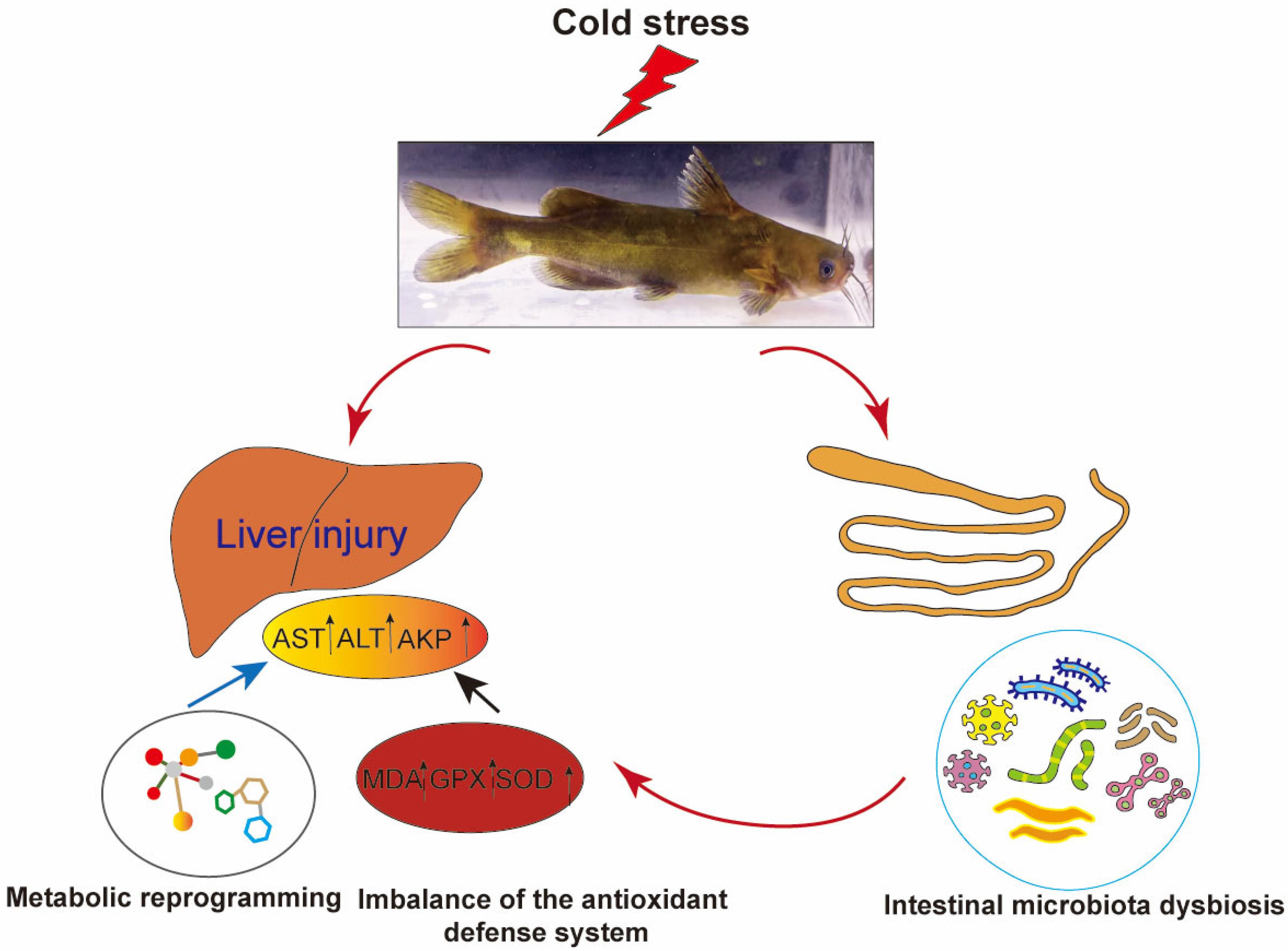 Antioxidants 14 00762 g010