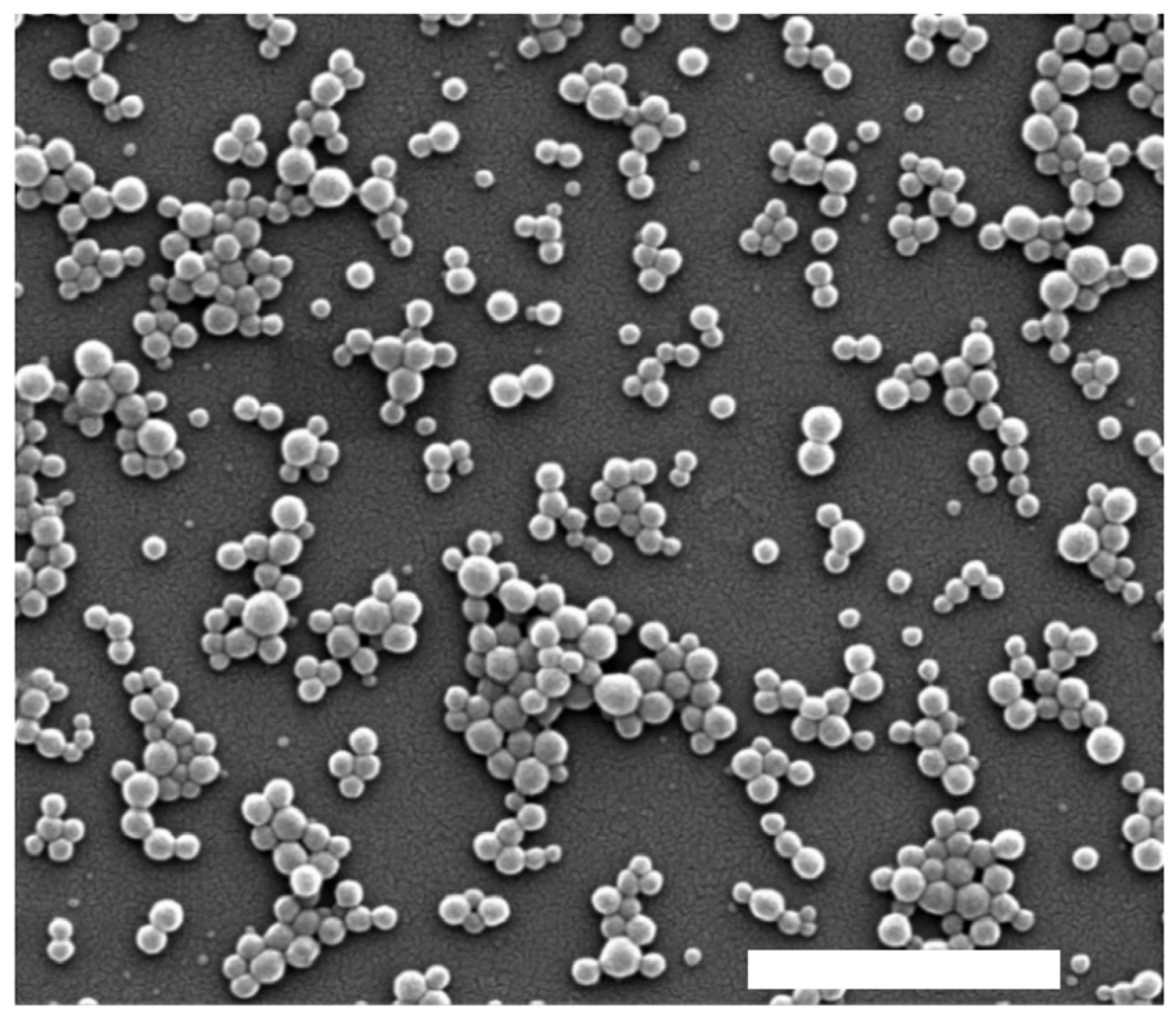 Antioxidants 14 00764 g005