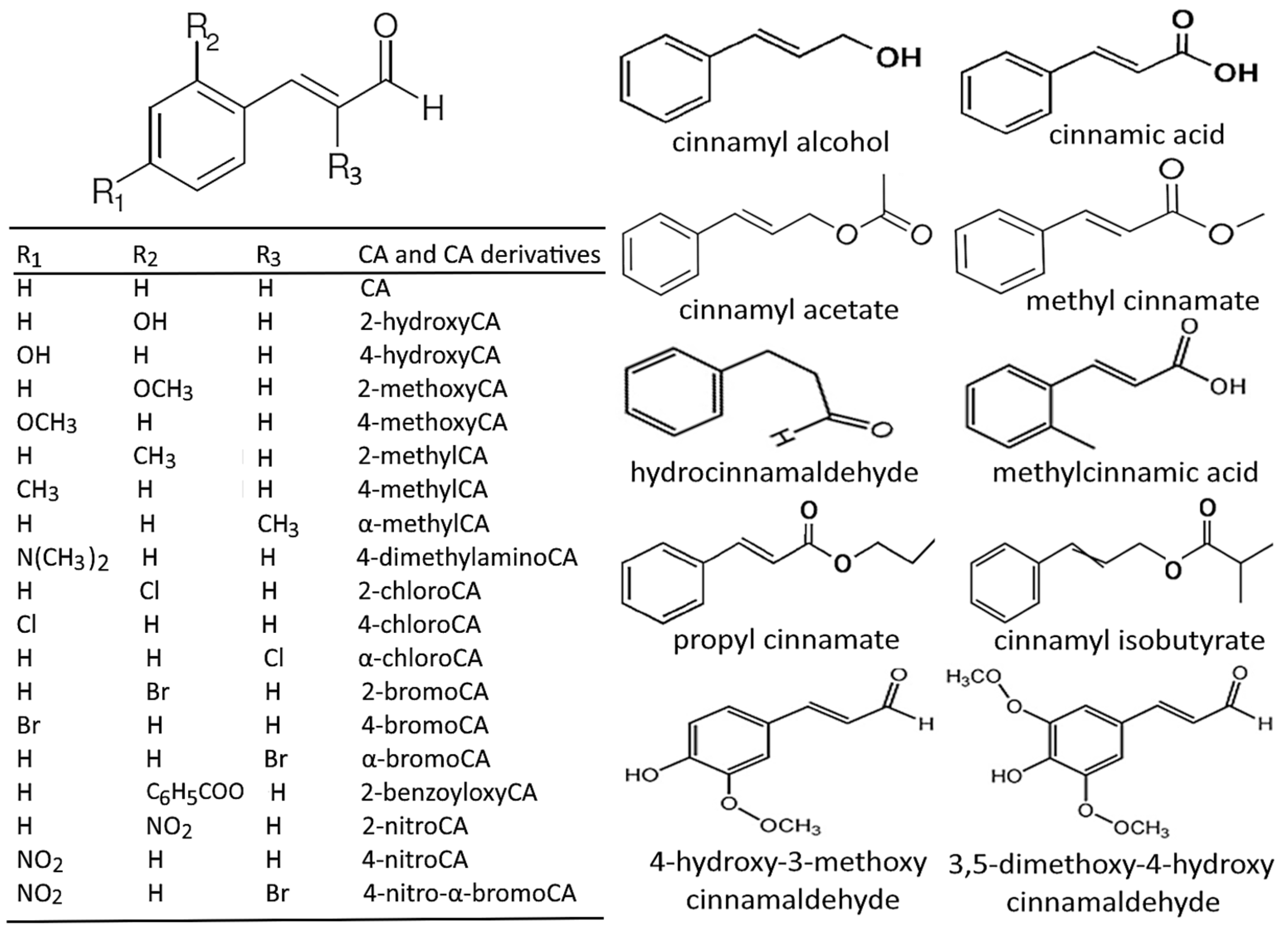 Antioxidants 14 00765 g002 Antioxidants 14 00765 g002