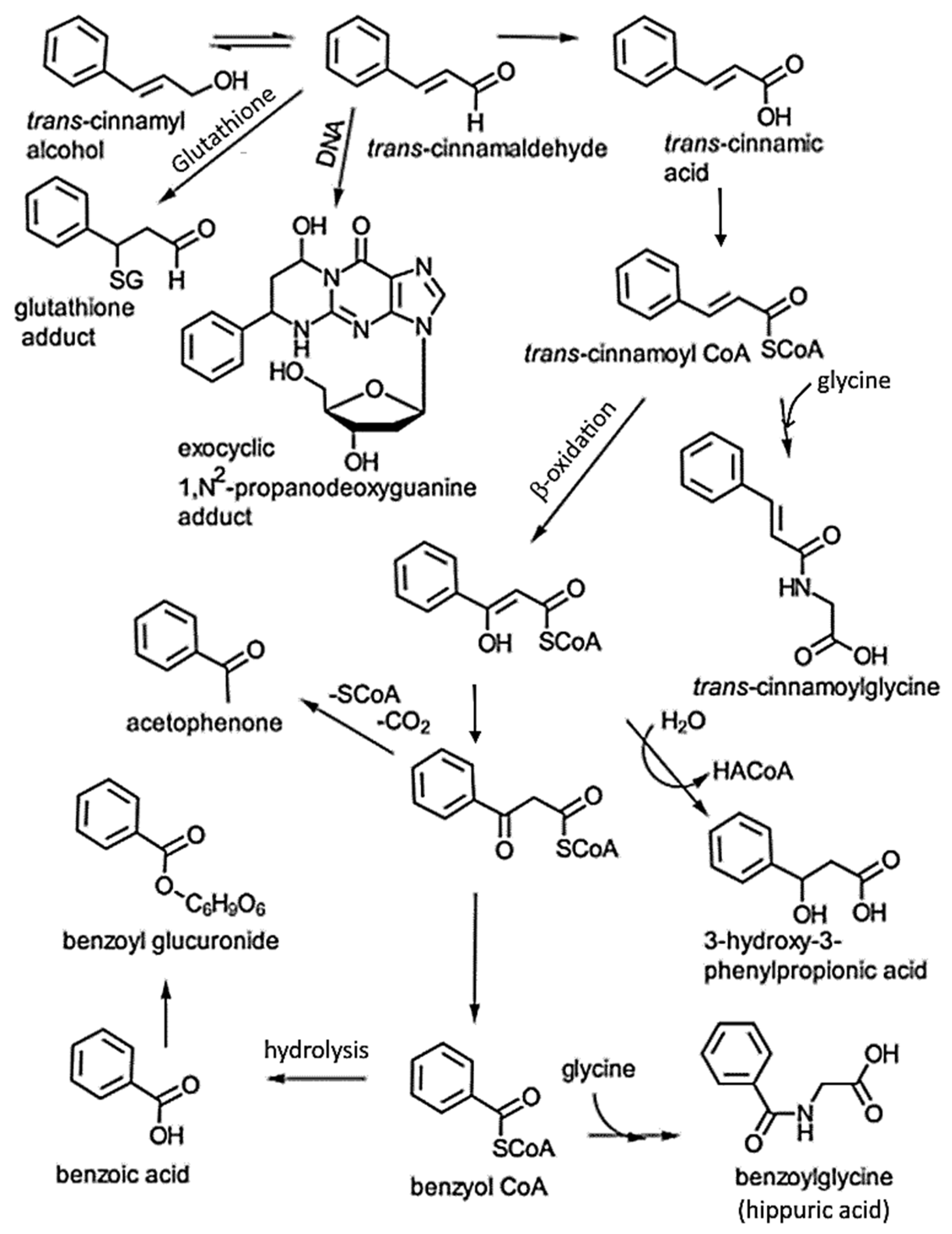 Antioxidants 14 00765 g003 Antioxidants 14 00765 g003