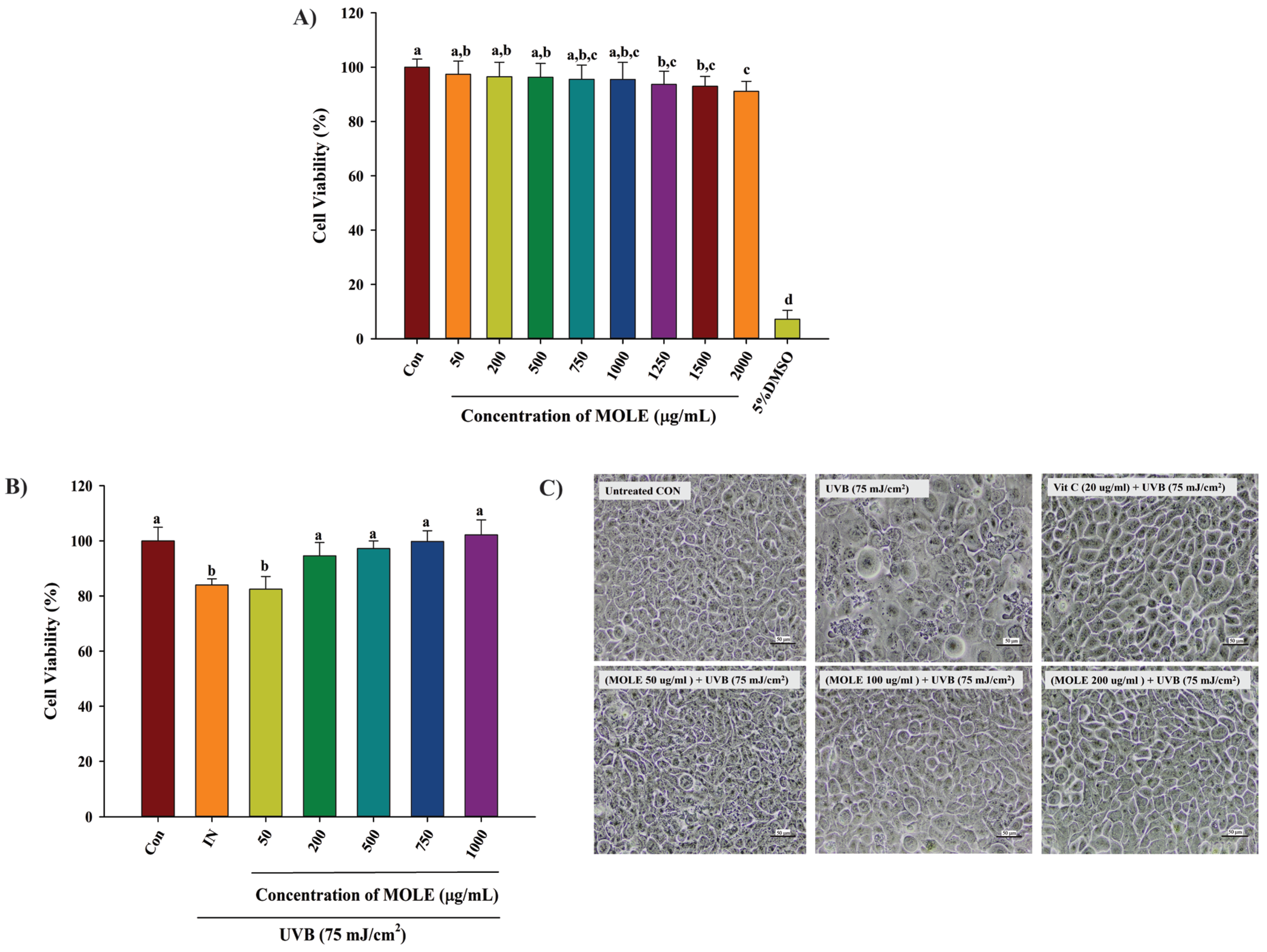 Antioxidants 14 00766 g002
