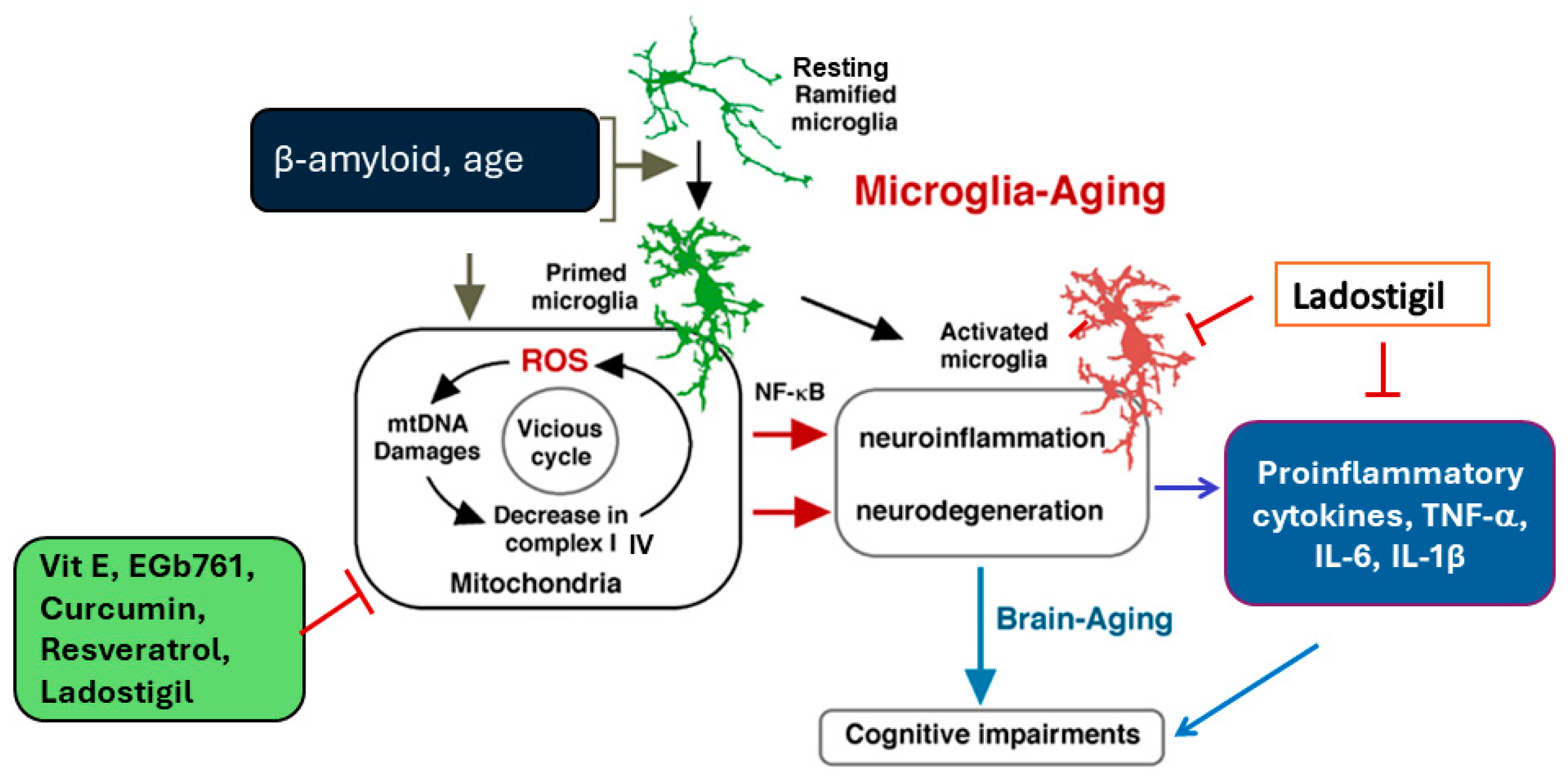 Antioxidants 14 00769 g002