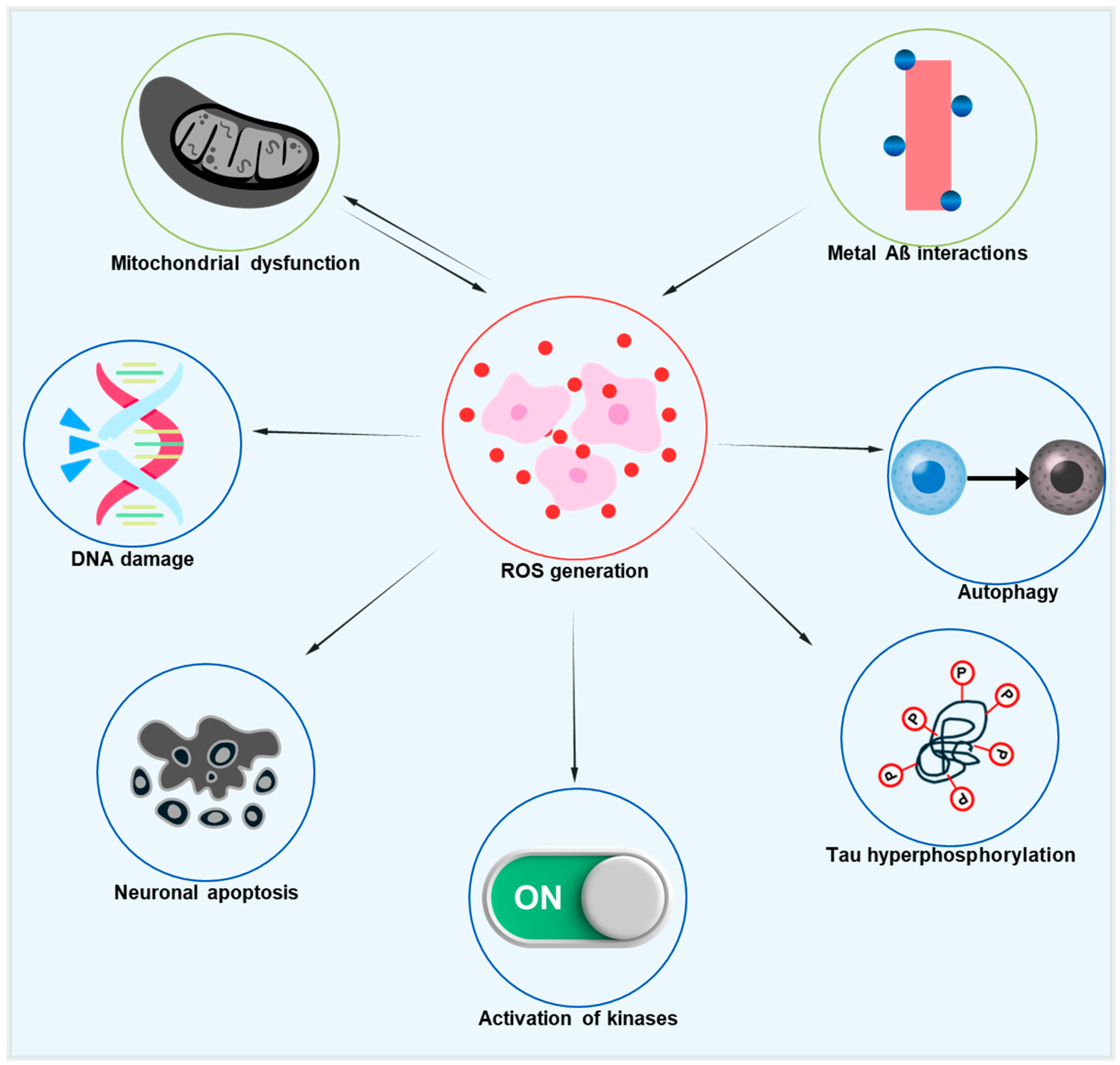 Antioxidants 14 00774 g002 Antioxidants 14 00774 g002