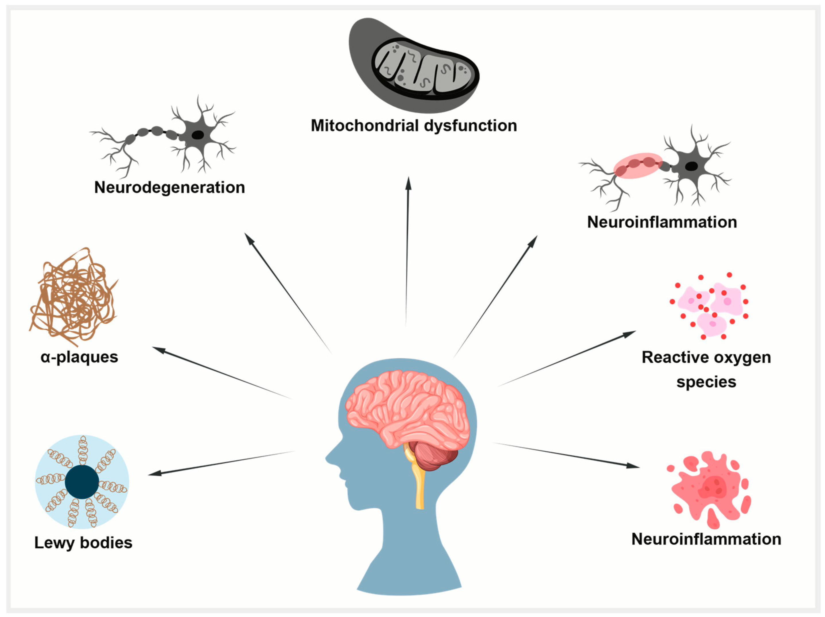 Antioxidants 14 00774 g004 Antioxidants 14 00774 g004