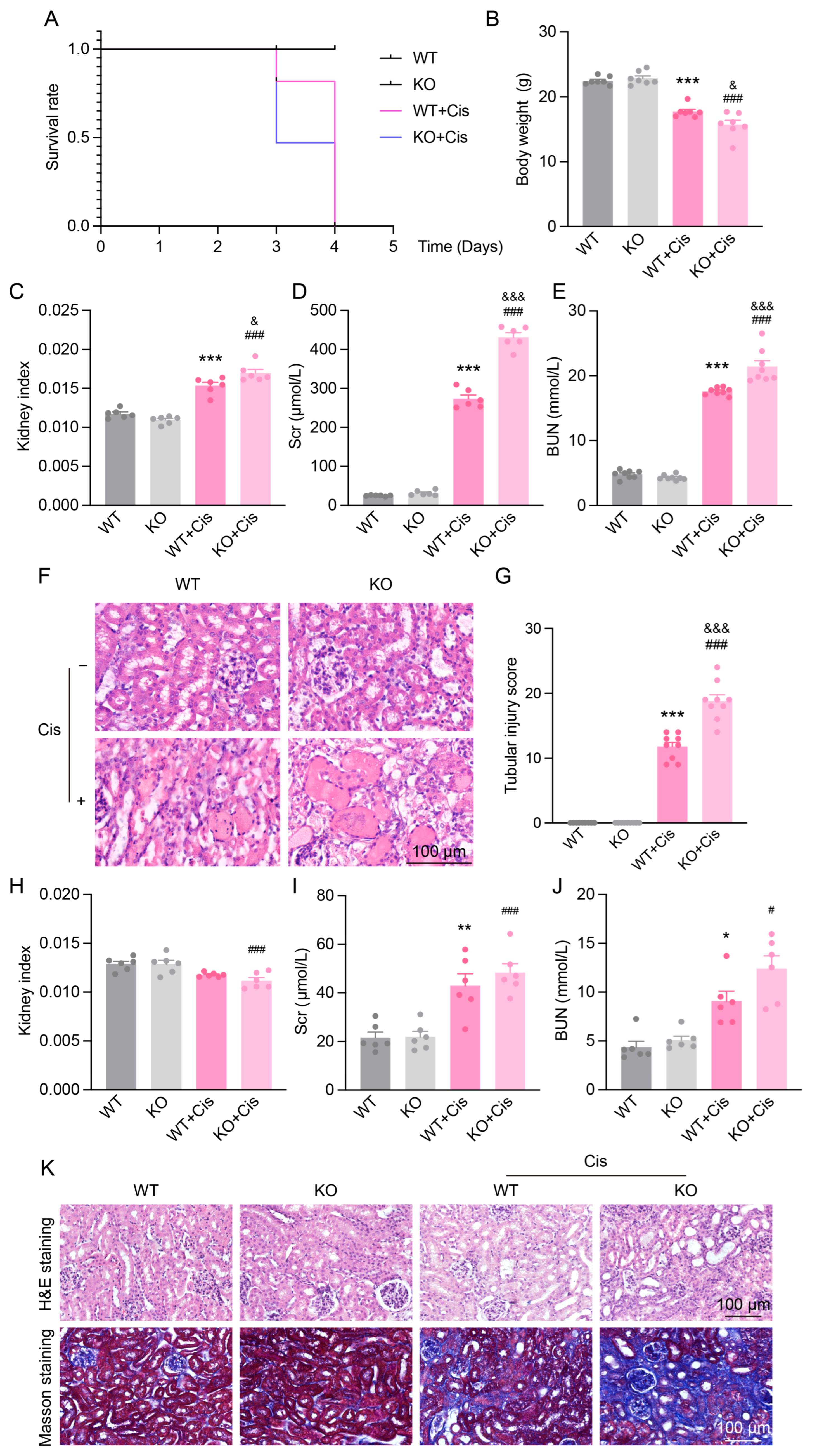 Antioxidants 14 00775 g005