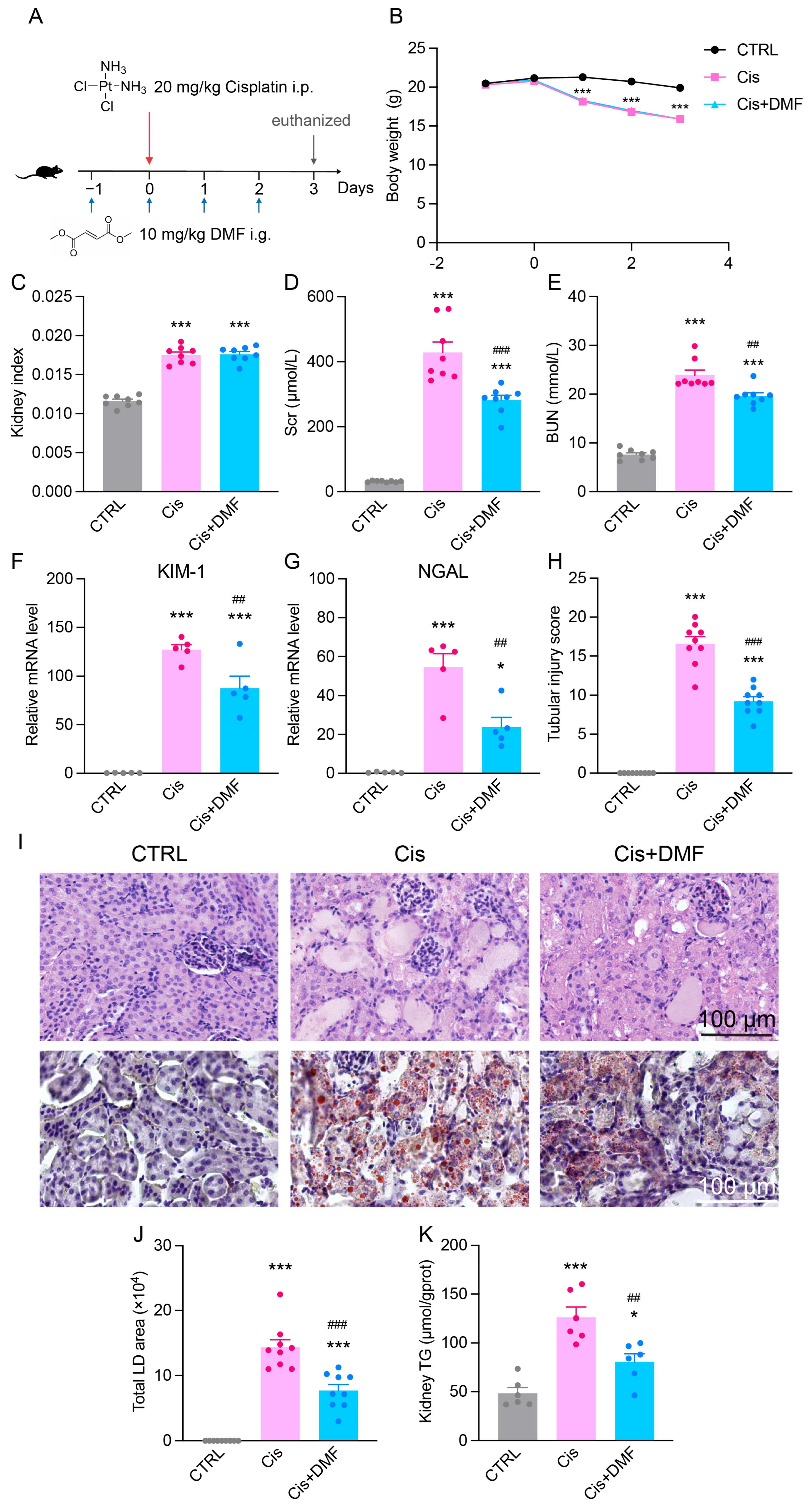 Antioxidants 14 00775 g008