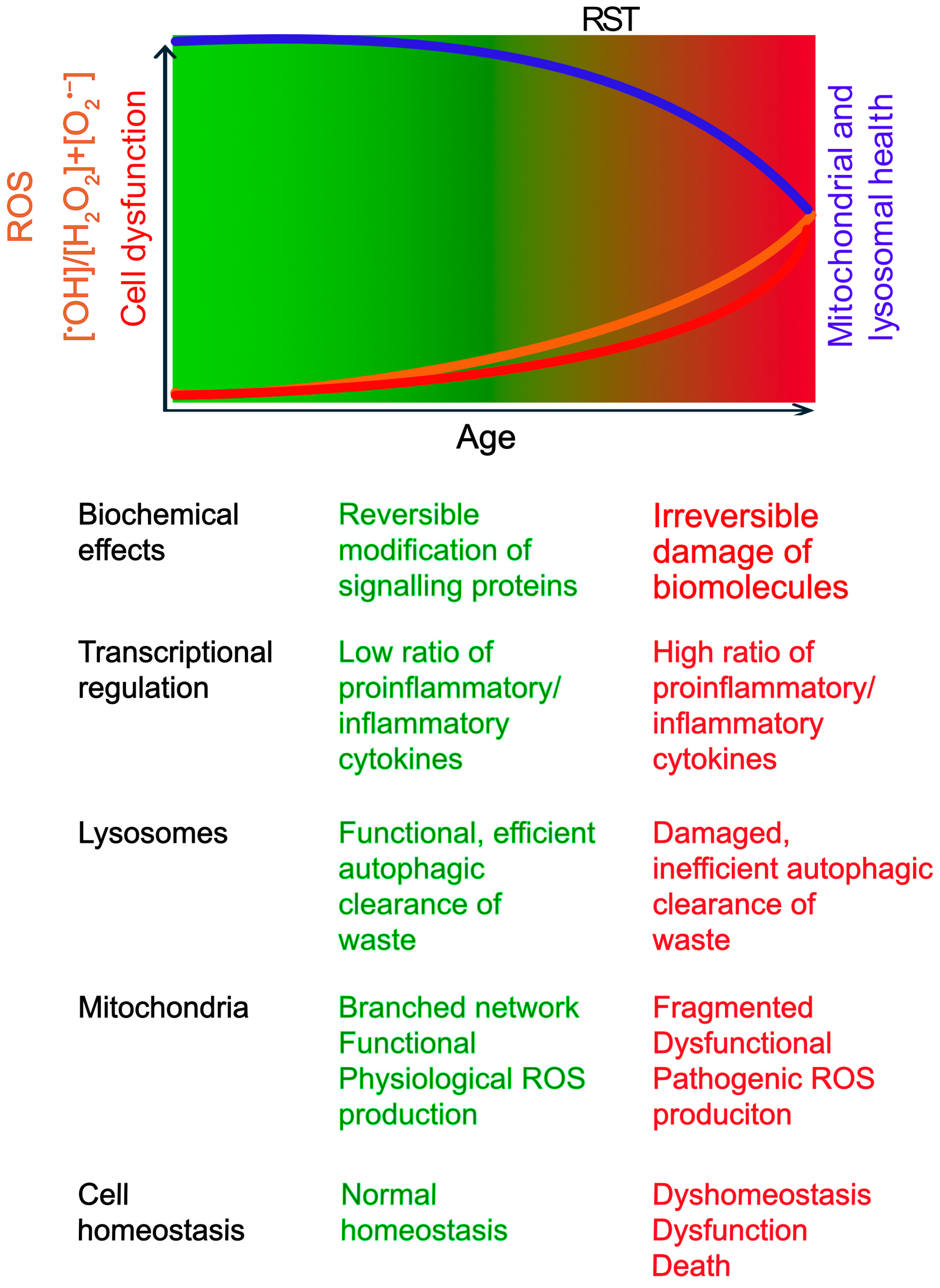 Antioxidants 14 00776 g001