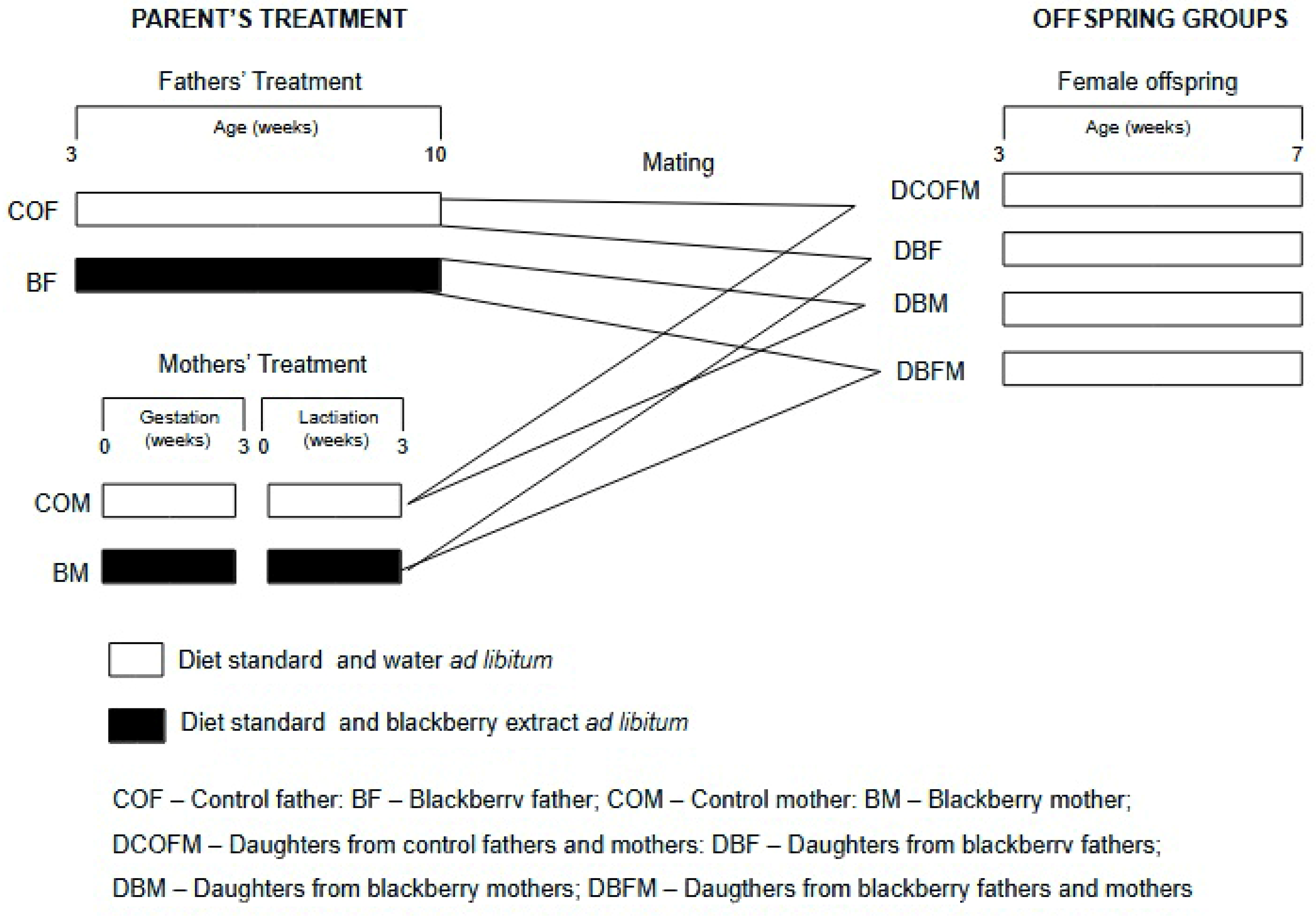 Antioxidants 14 00779 g001