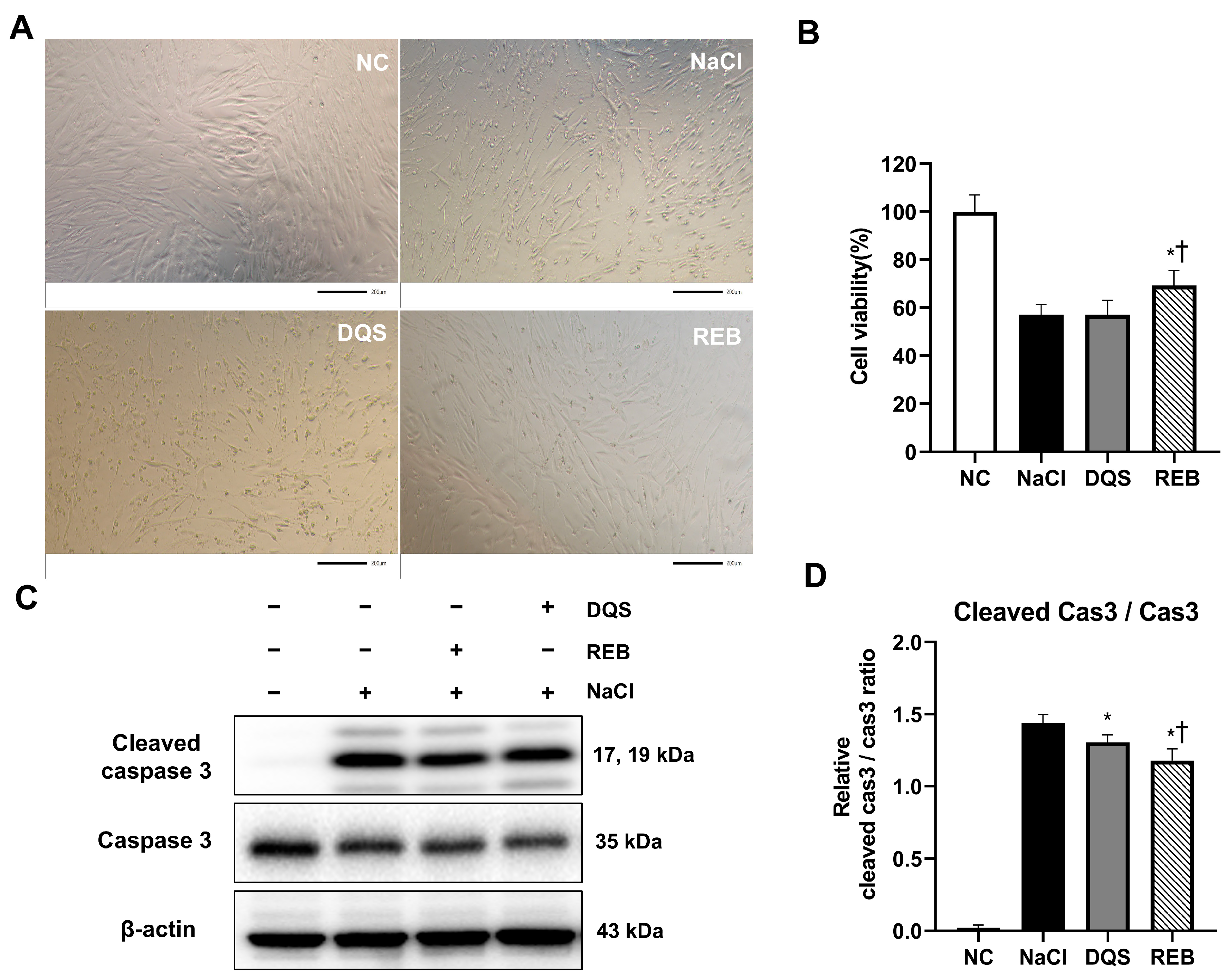 Antioxidants 14 00780 g001