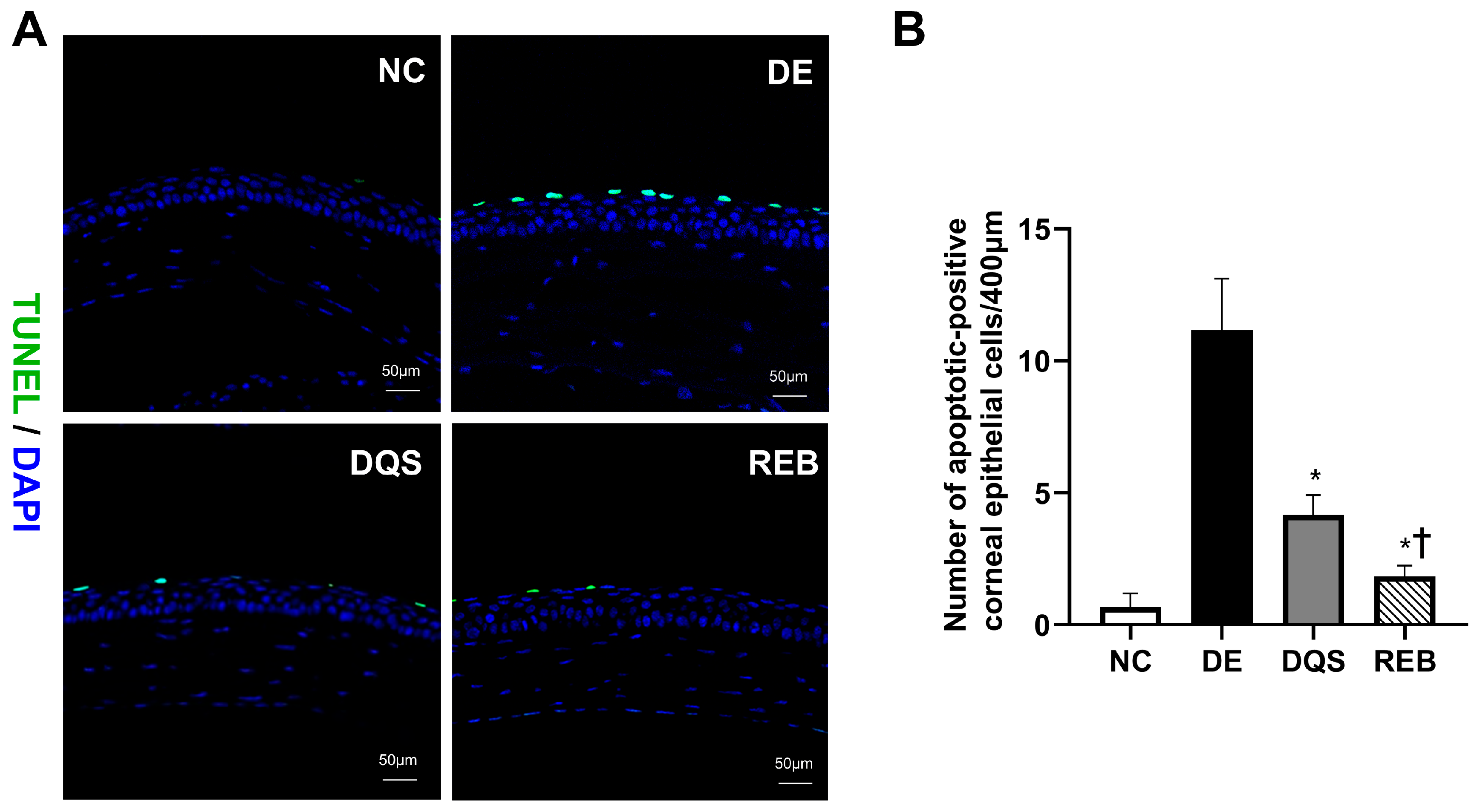 Antioxidants 14 00780 g004