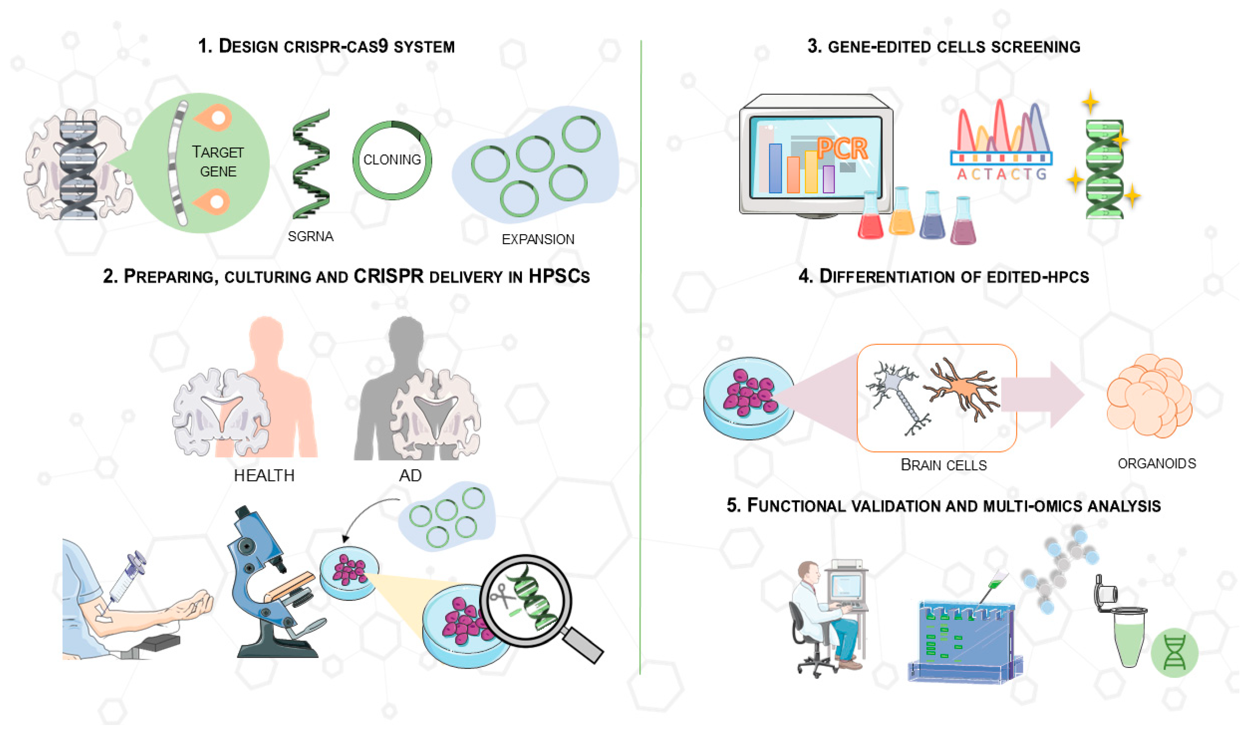 Antioxidants 14 00781 g004
